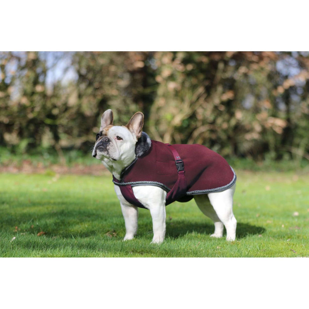 Bucas Couverture pour Chien Show-Line Burgundy/Gris