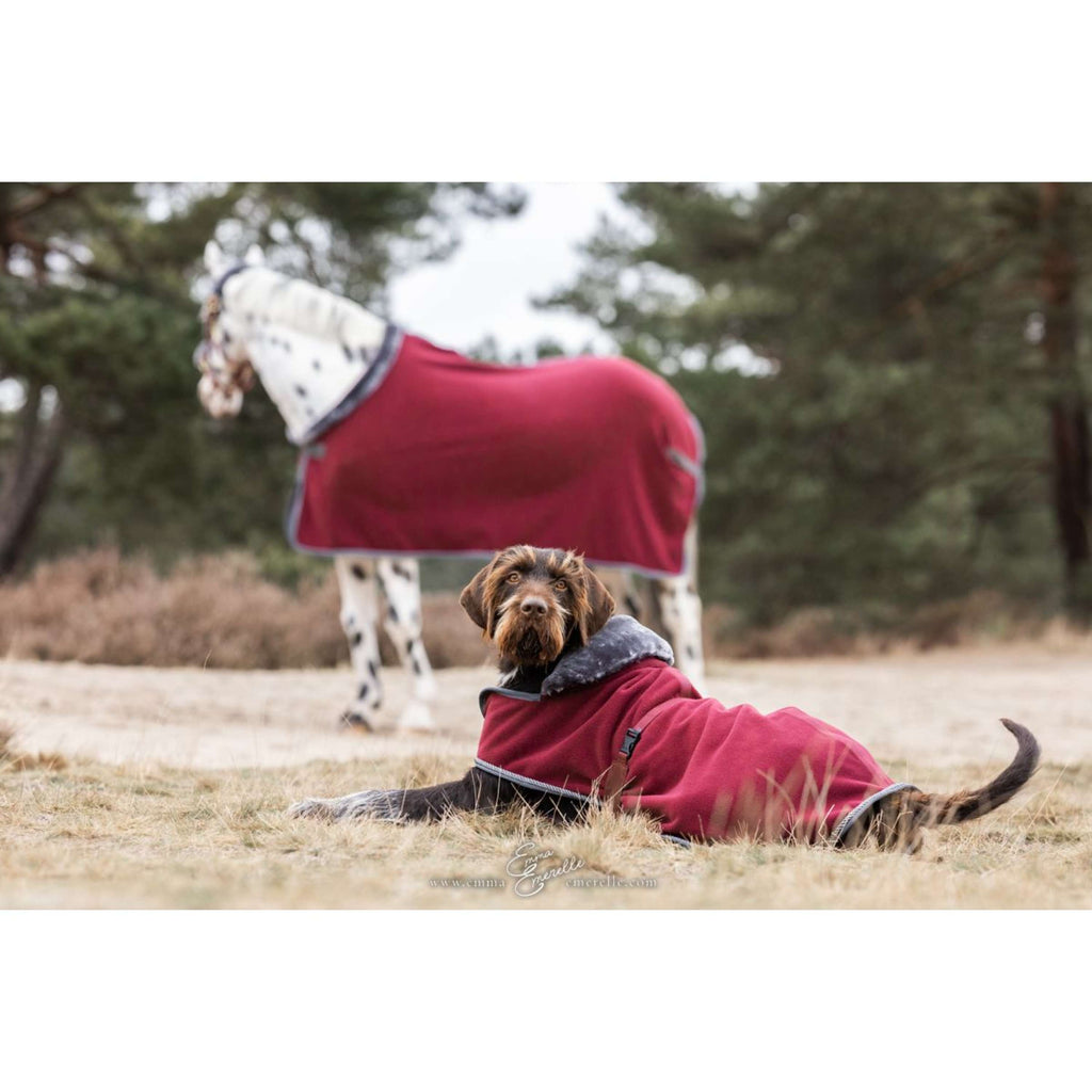 Bucas Couverture pour Chien Show-Line Burgundy/Gris