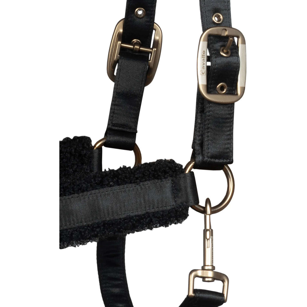 Cavallo Licol Cavallidi Noir