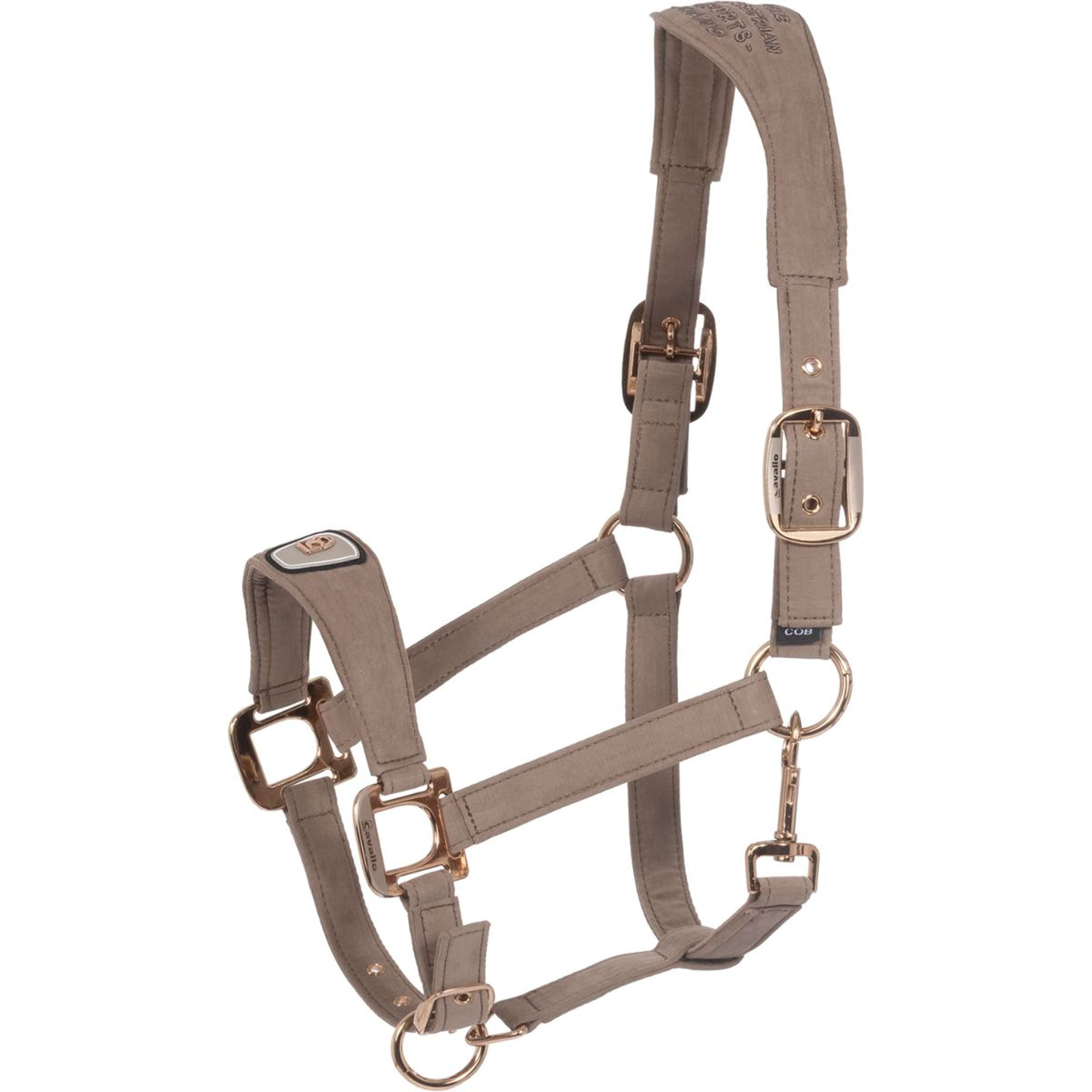 Cavallo Licol CavalPawel Mocha Latte