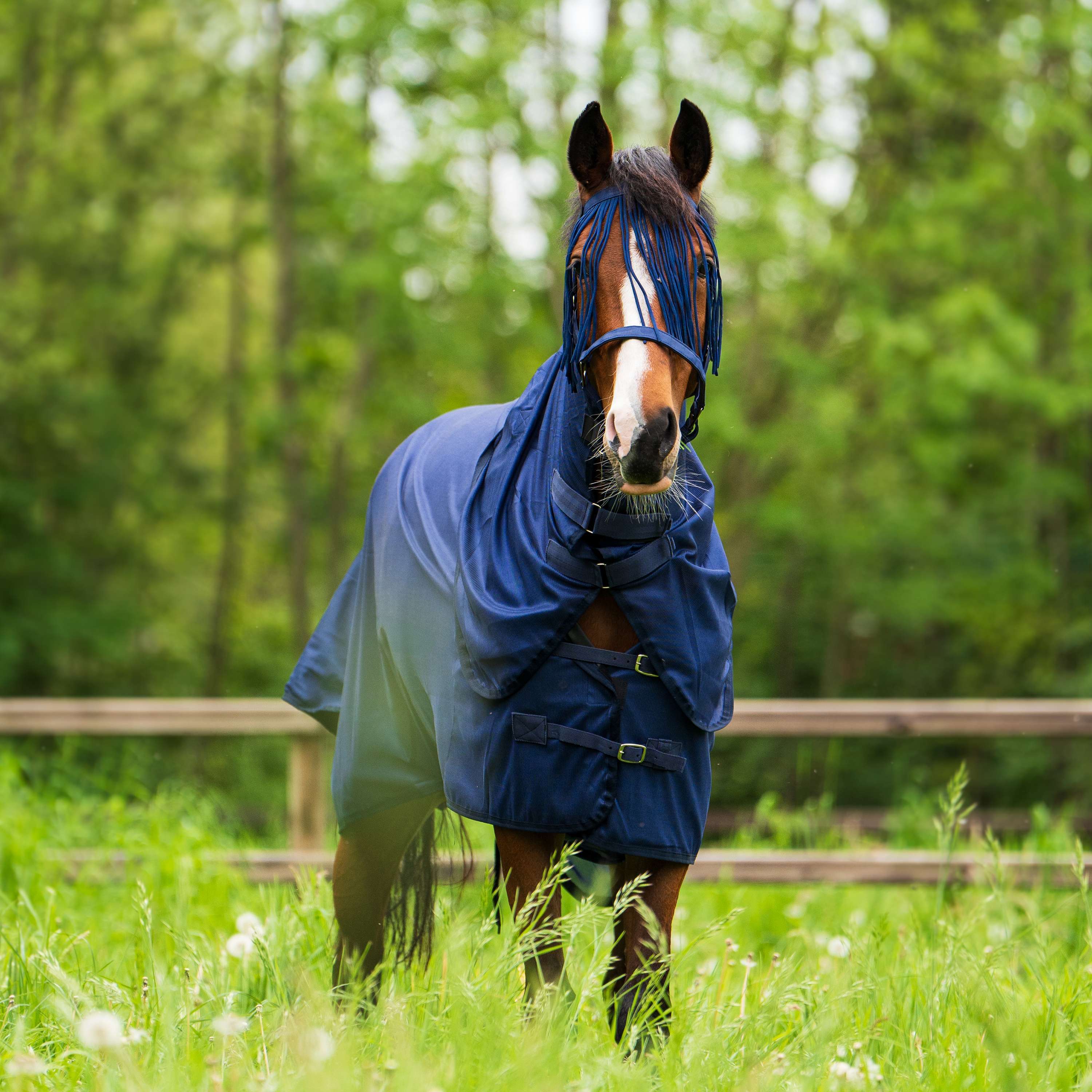 Imperial Riding Couverture Anti-Mouches IRHReese Marin