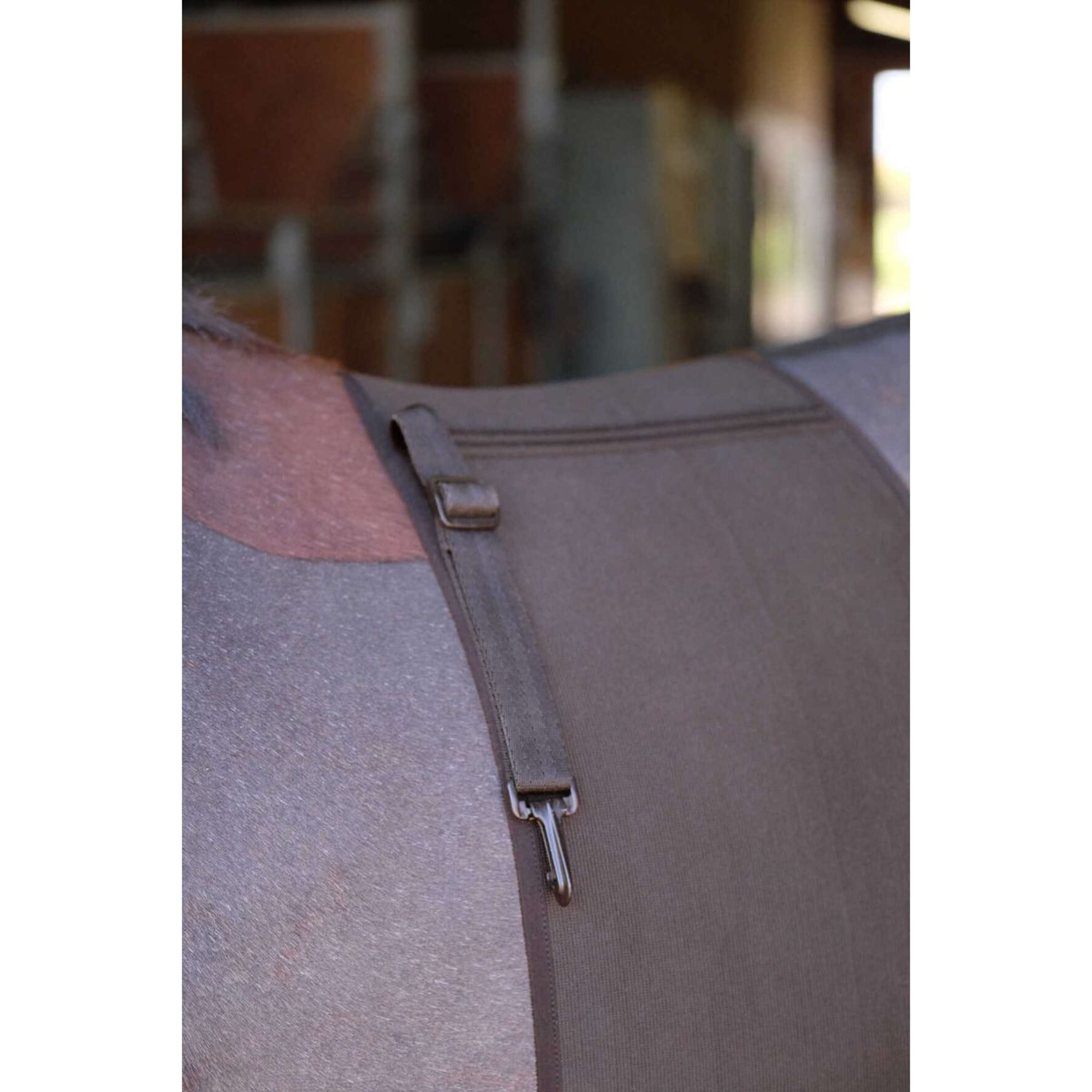 Norton Bande de Respec Marron