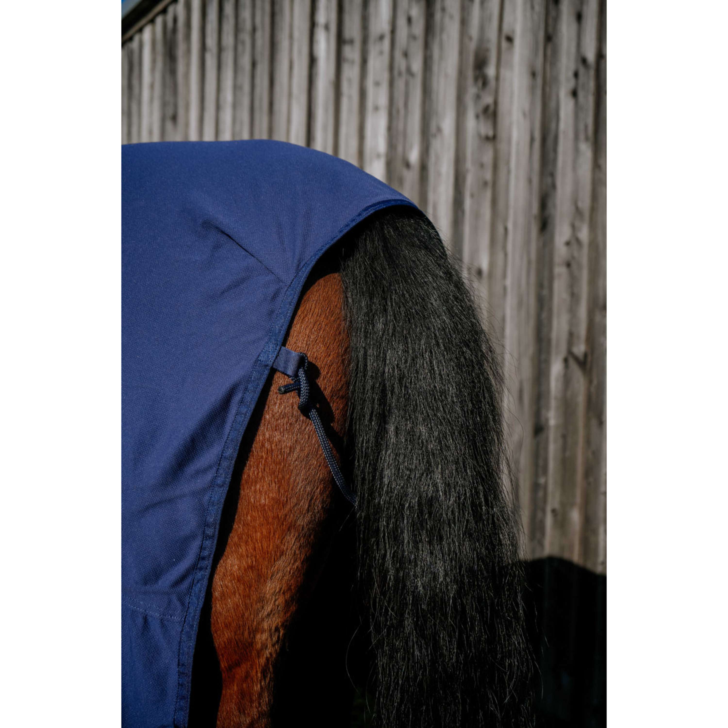 EQUITHÈME Couverture de Refroidissement Cool& Dry Fresh Combo Marine Bleu