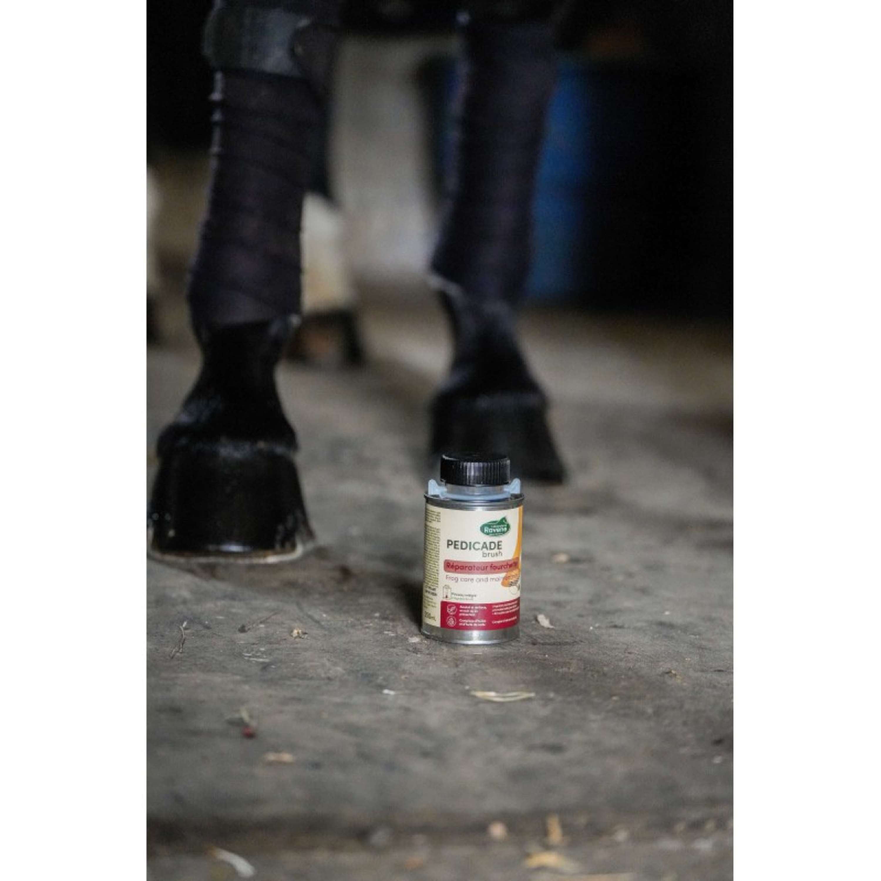 Ravene Pedicade Brush pour Sabots Chevaux