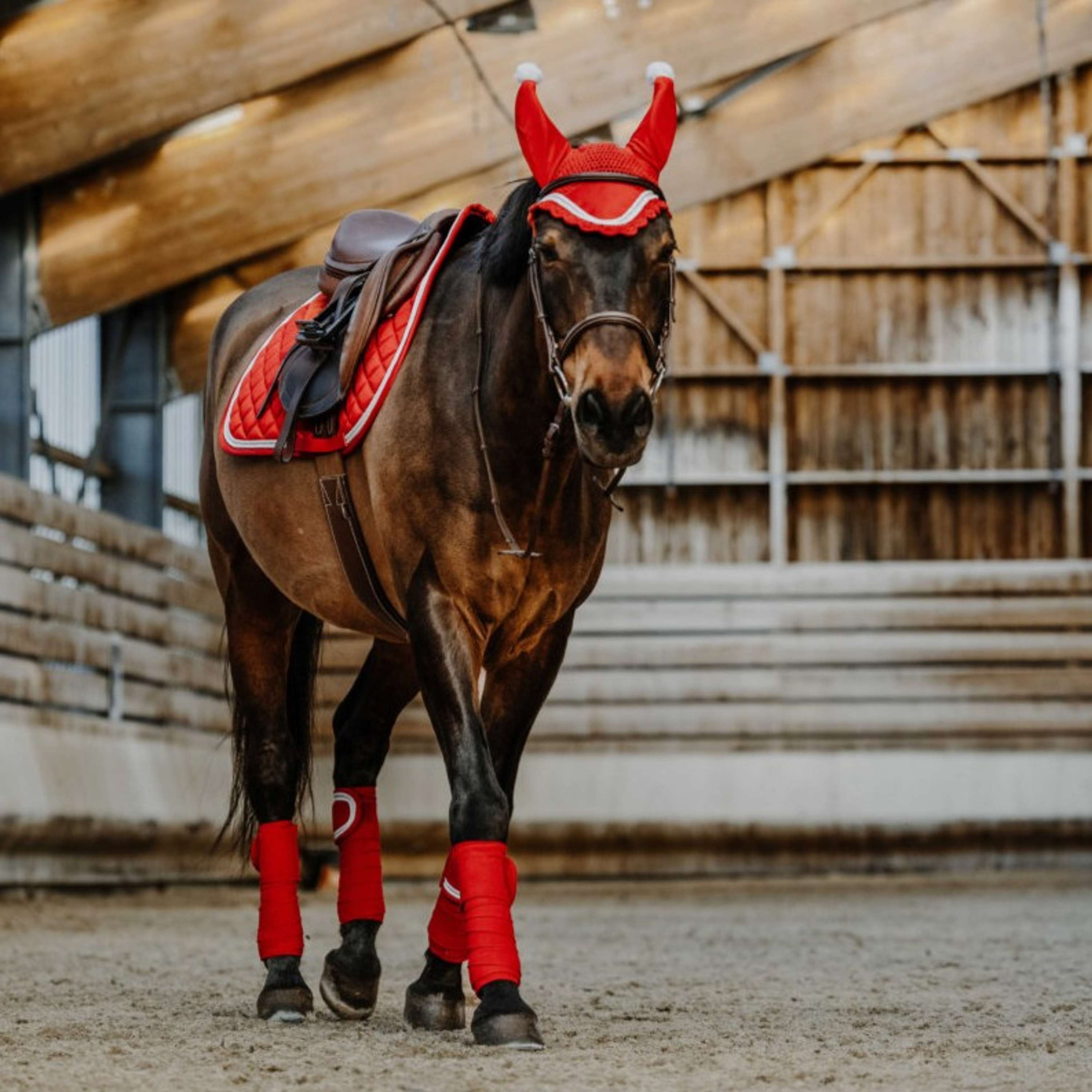 EQUITHÈME Bandages Noël Rouge