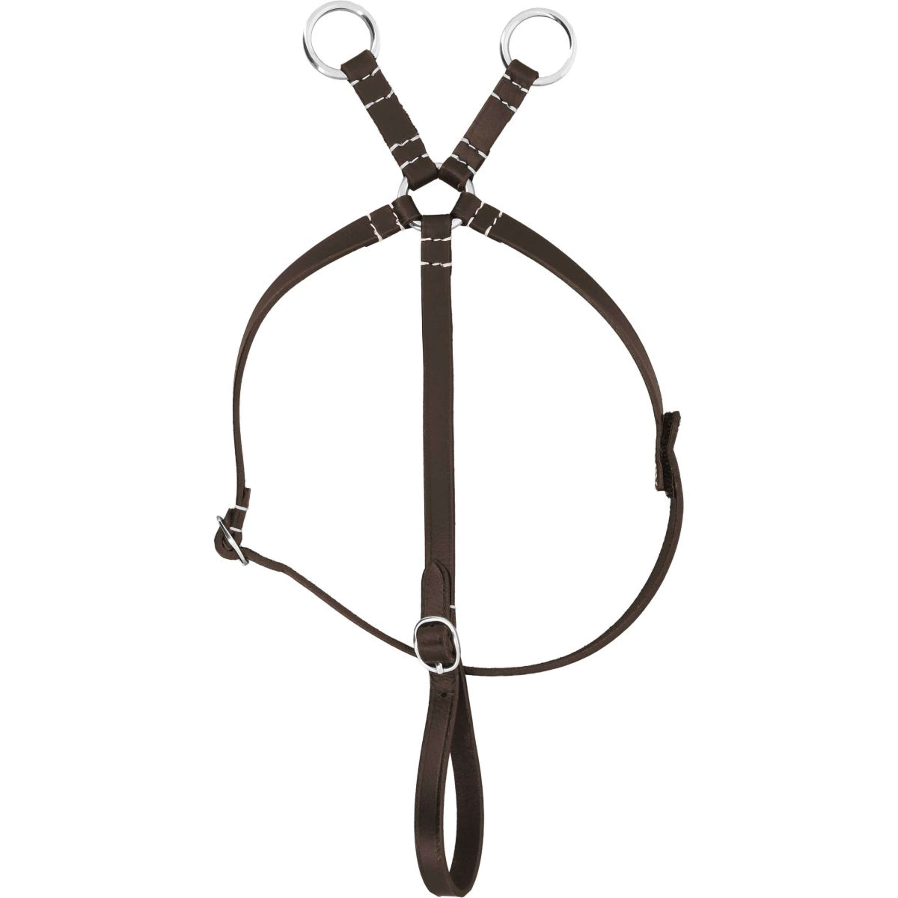 EQUITHÈME Pony Academy Martingale Havane