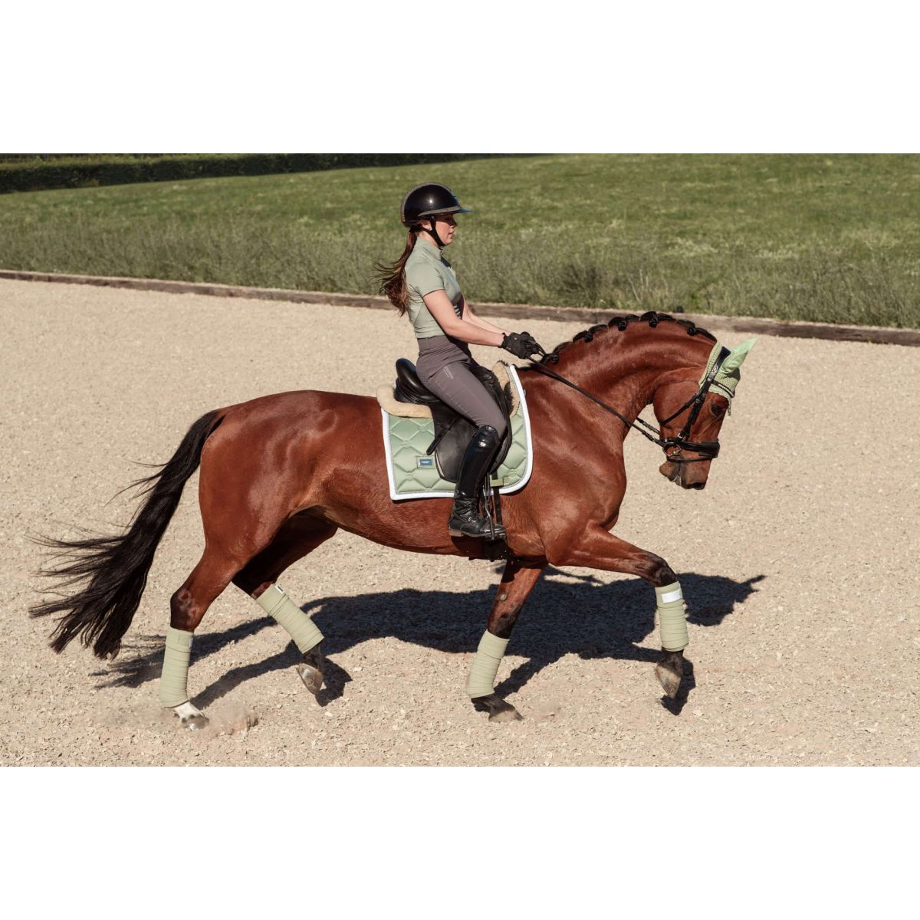 Equestrian Stockholm Chemise Dynamic Short Sleeve Pistachio White