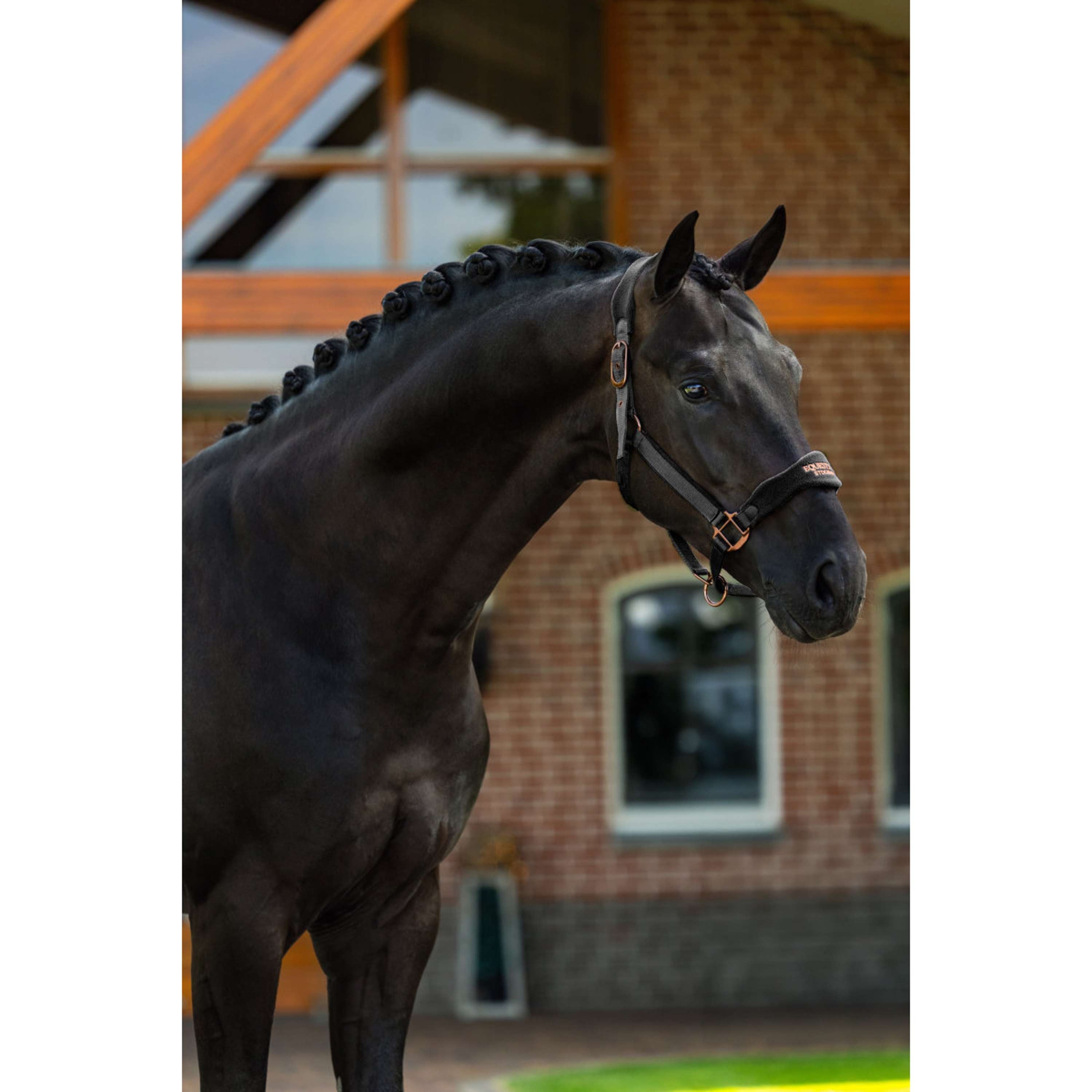 Equestrian Stockholm Licol Anatomic Fleece Noir/Blush