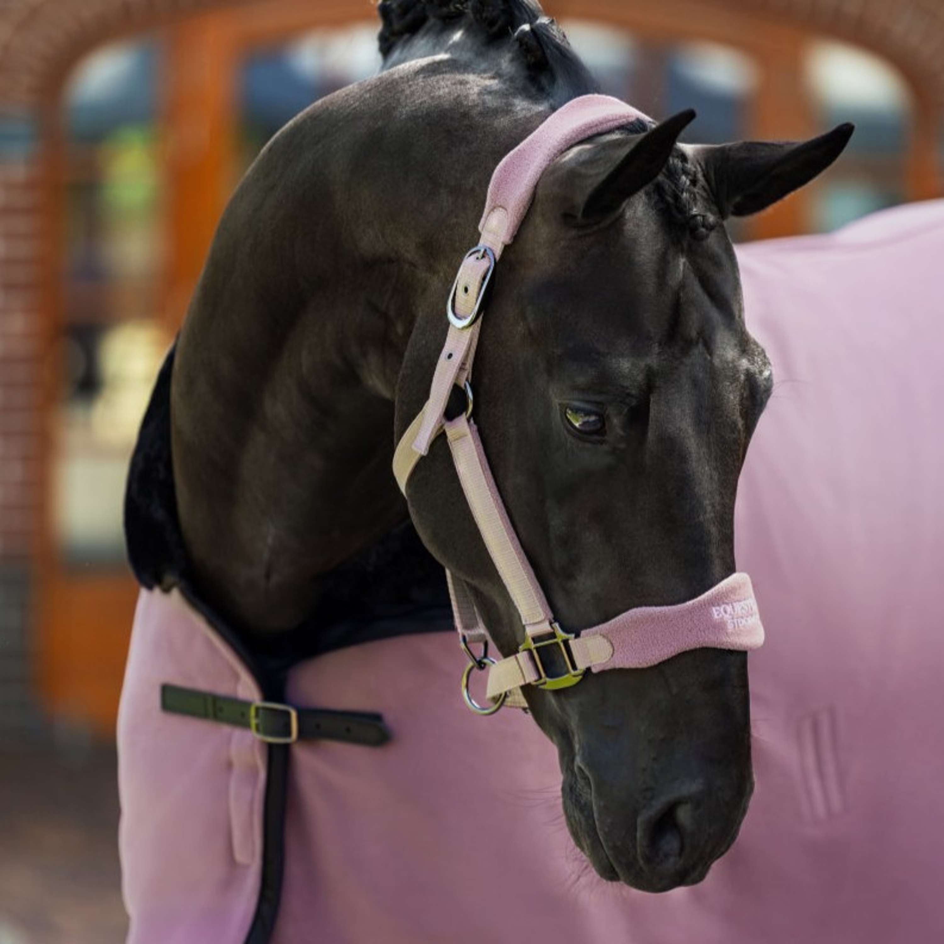 Equestrian Stockholm Licol Anatomic Fleece Blush
