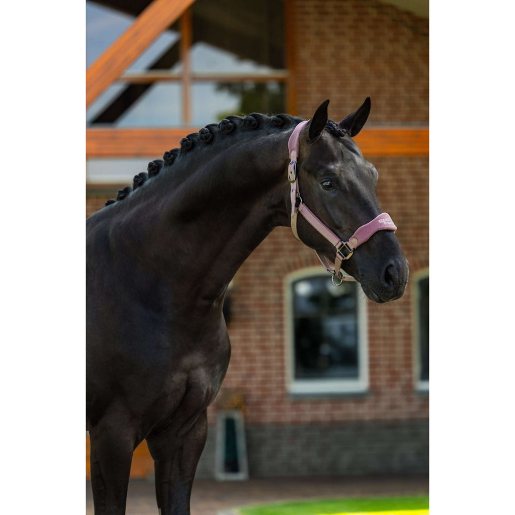 Equestrian Stockholm Licol Anatomic Fleece Blush
