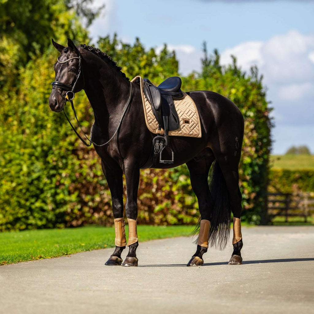 Equestrian Stockholm Guêtres Classic Mesh Midsummer Glow