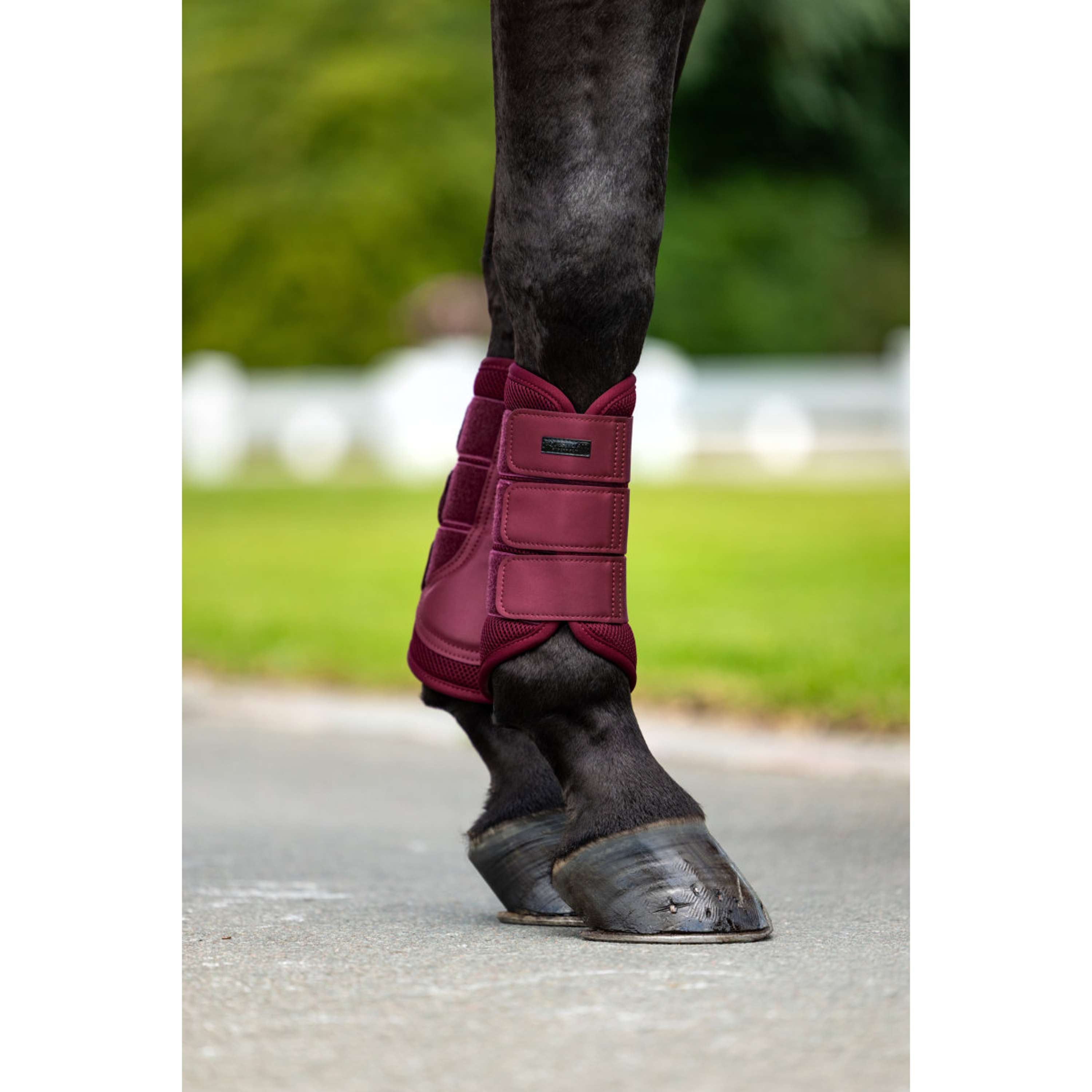 Equestrian Stockholm Guêtres Mesh Merlot