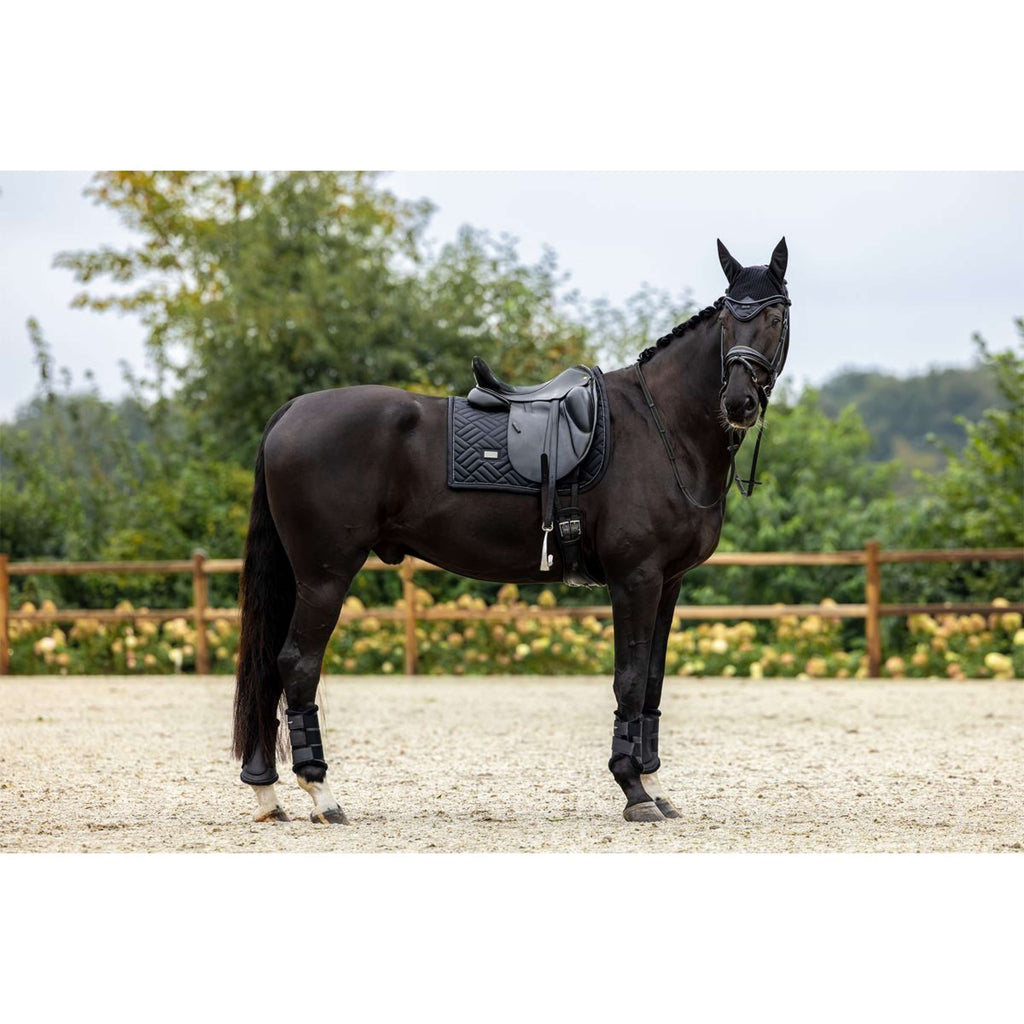 Equestrian Stockholm Bonnet Anti-Mouches Black Edition