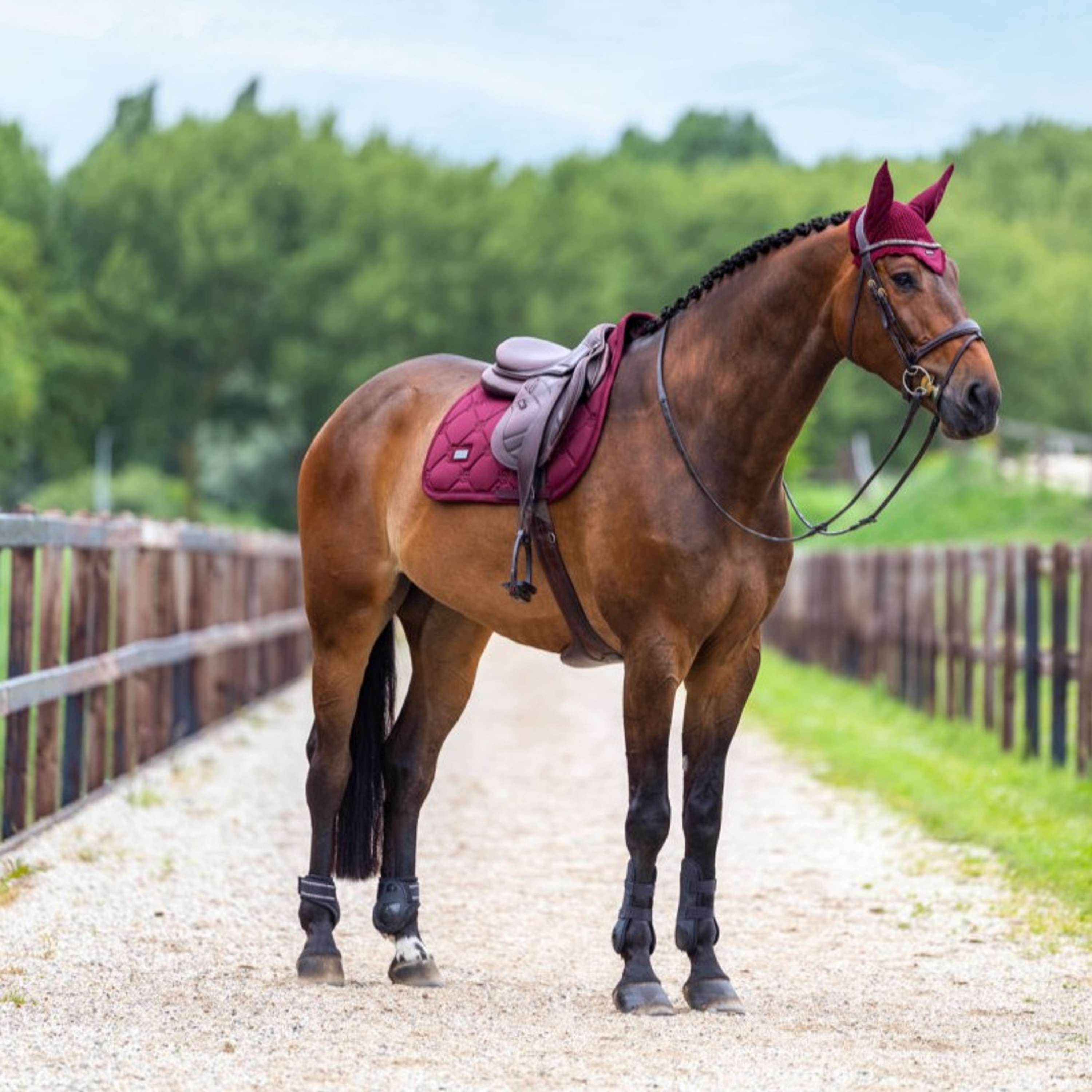 Equestrian Stockholm Tapis de Selle Satin de Saut Merlot