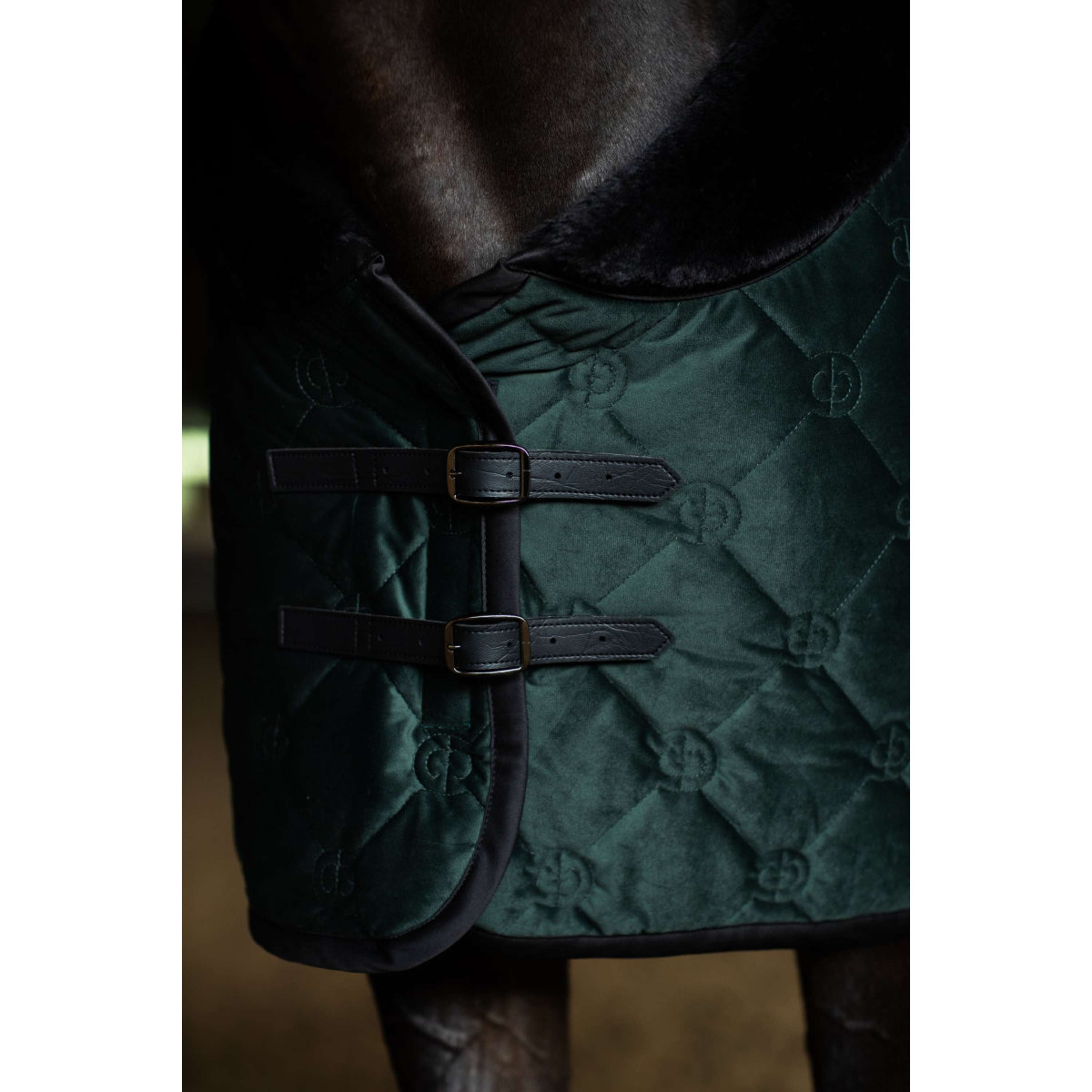 Equestrian Stockholm Couverture Polaire Velvet Sycamore Green