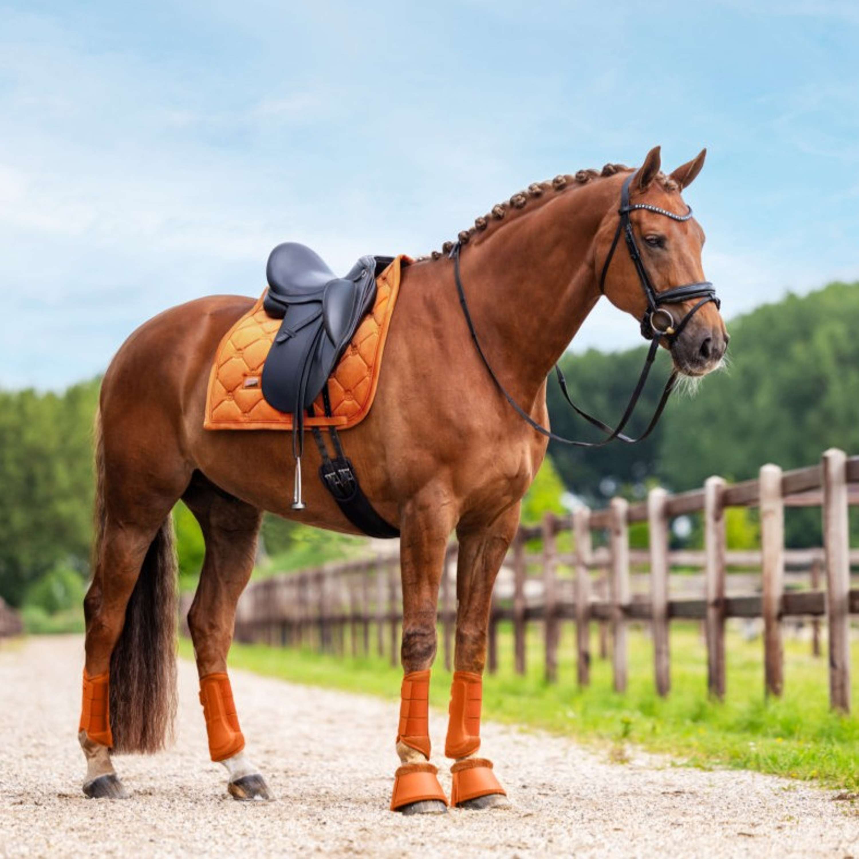 Equestrian Stockholm Tapis de Selle Velvet Dressage Chestnut