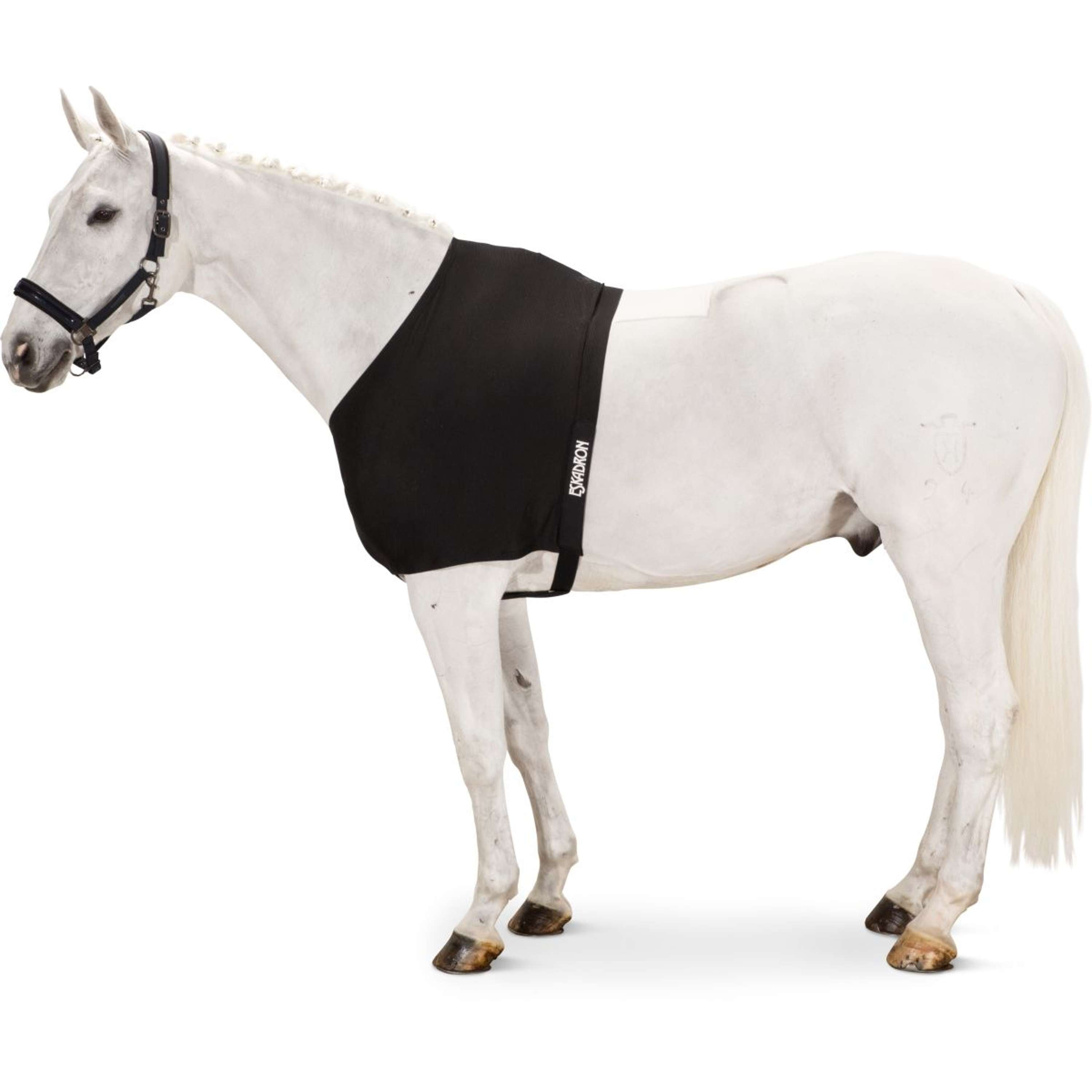 Eskadron Protection de Poitrail DynAirMesh Noir