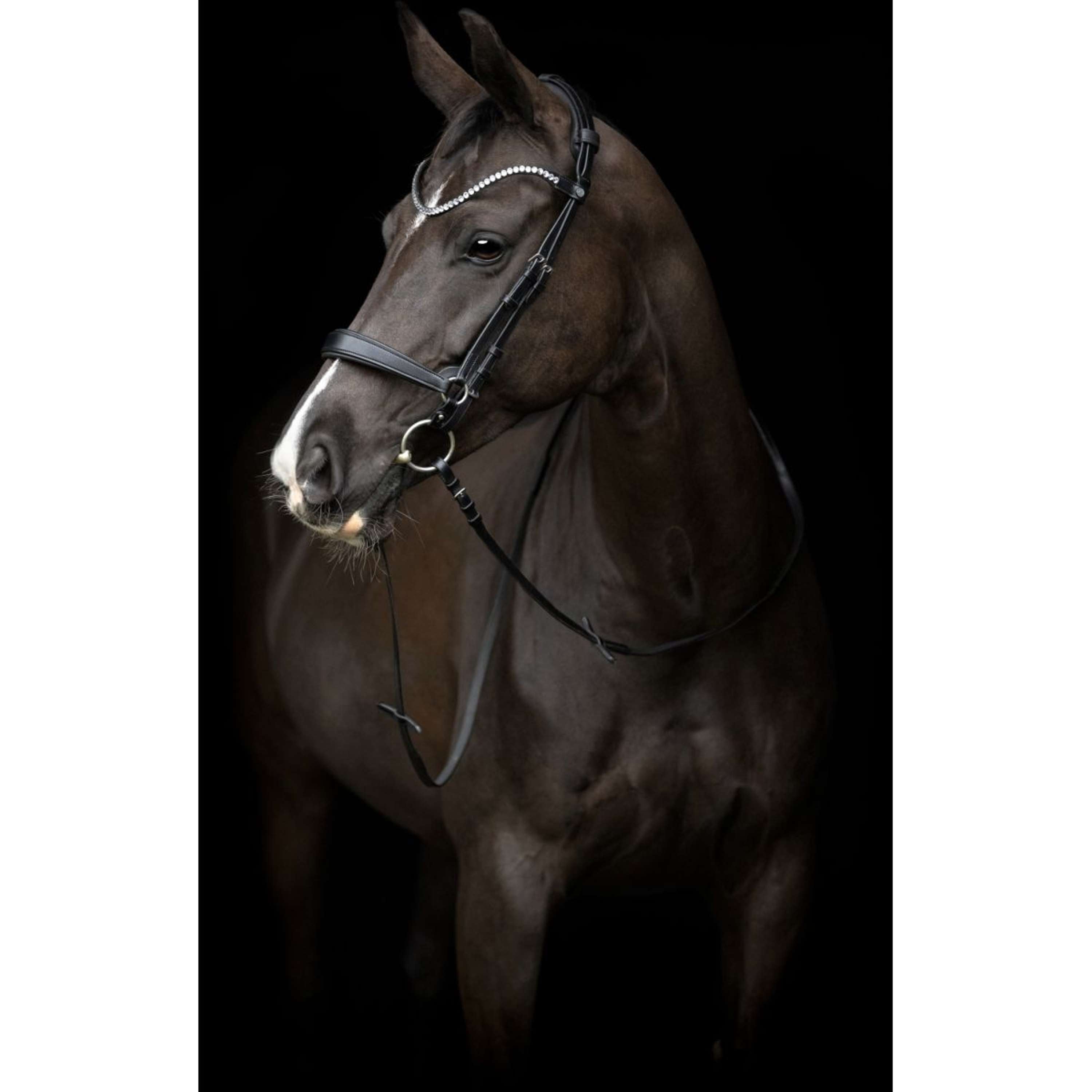 Catago Montants Gentle Marron