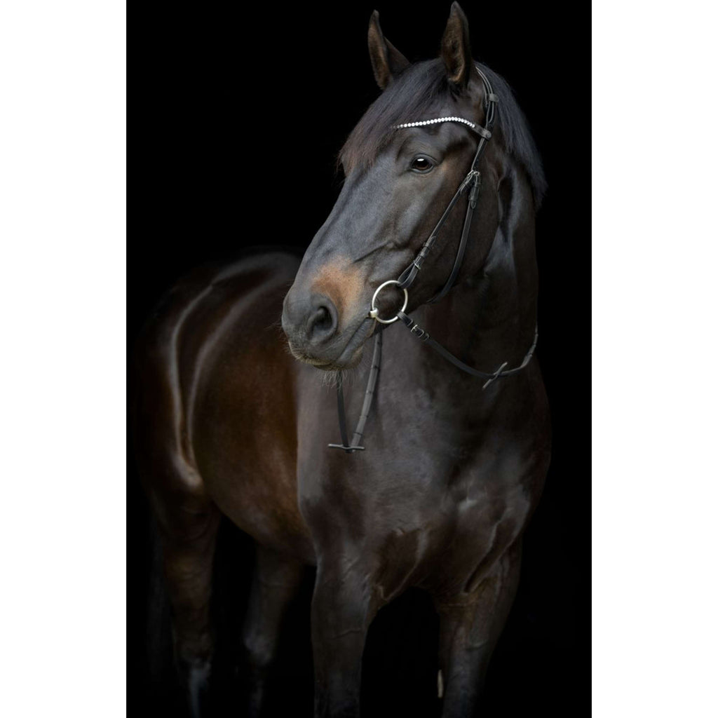 Catago Montants Gentle Noir