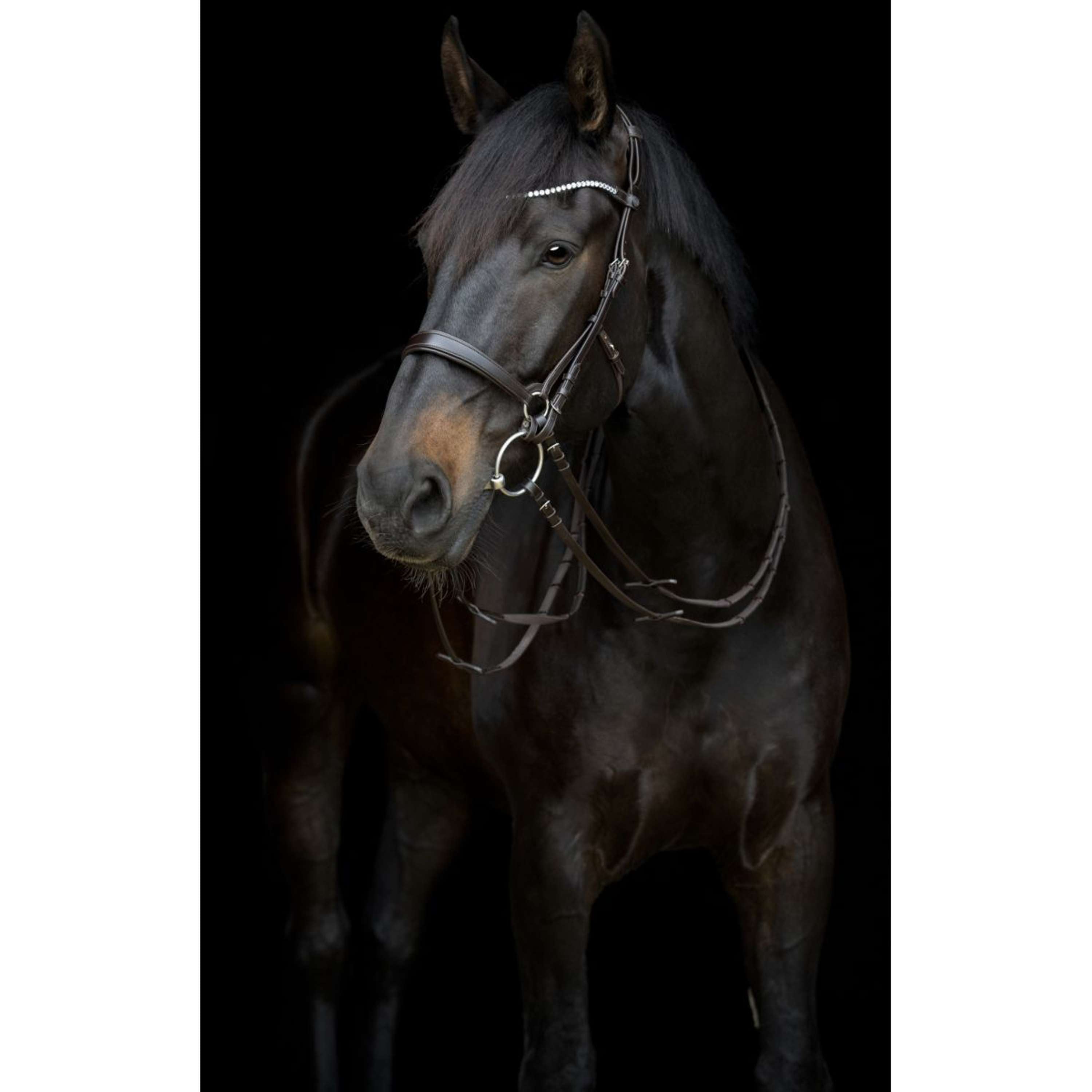 Catago Sous-Gorge Gentle Marron