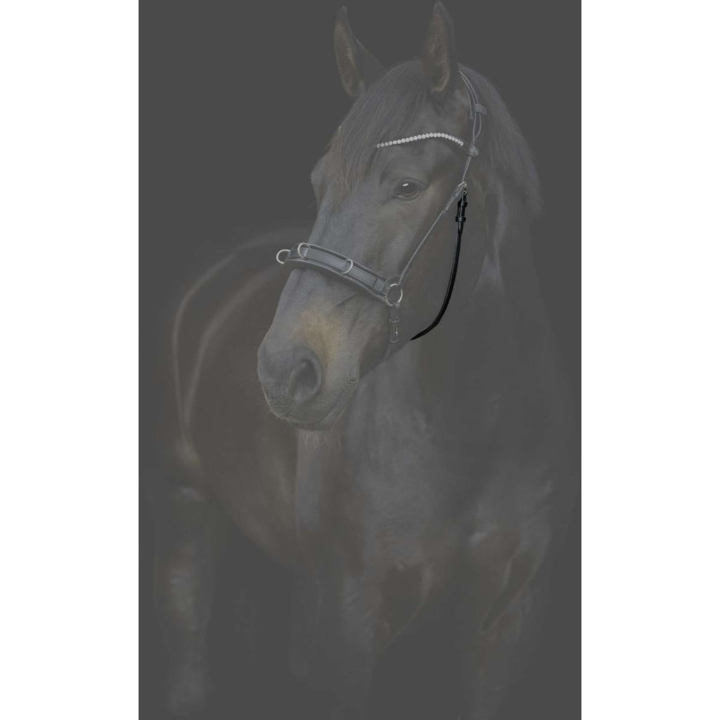 Catago Sous-Gorge Gentle avec Boucles Noir