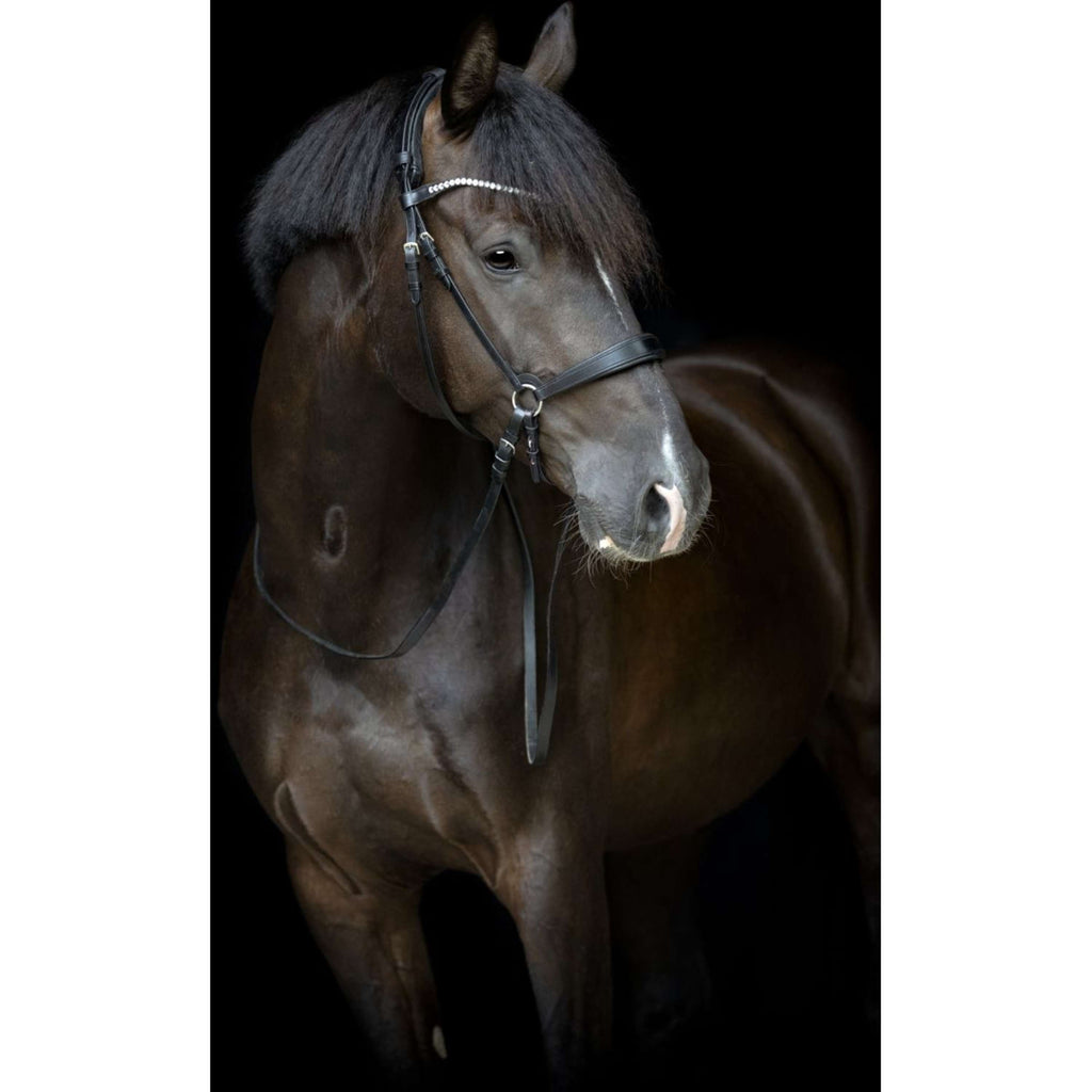 Catago Sous-Gorge Gentle avec Boucles Noir