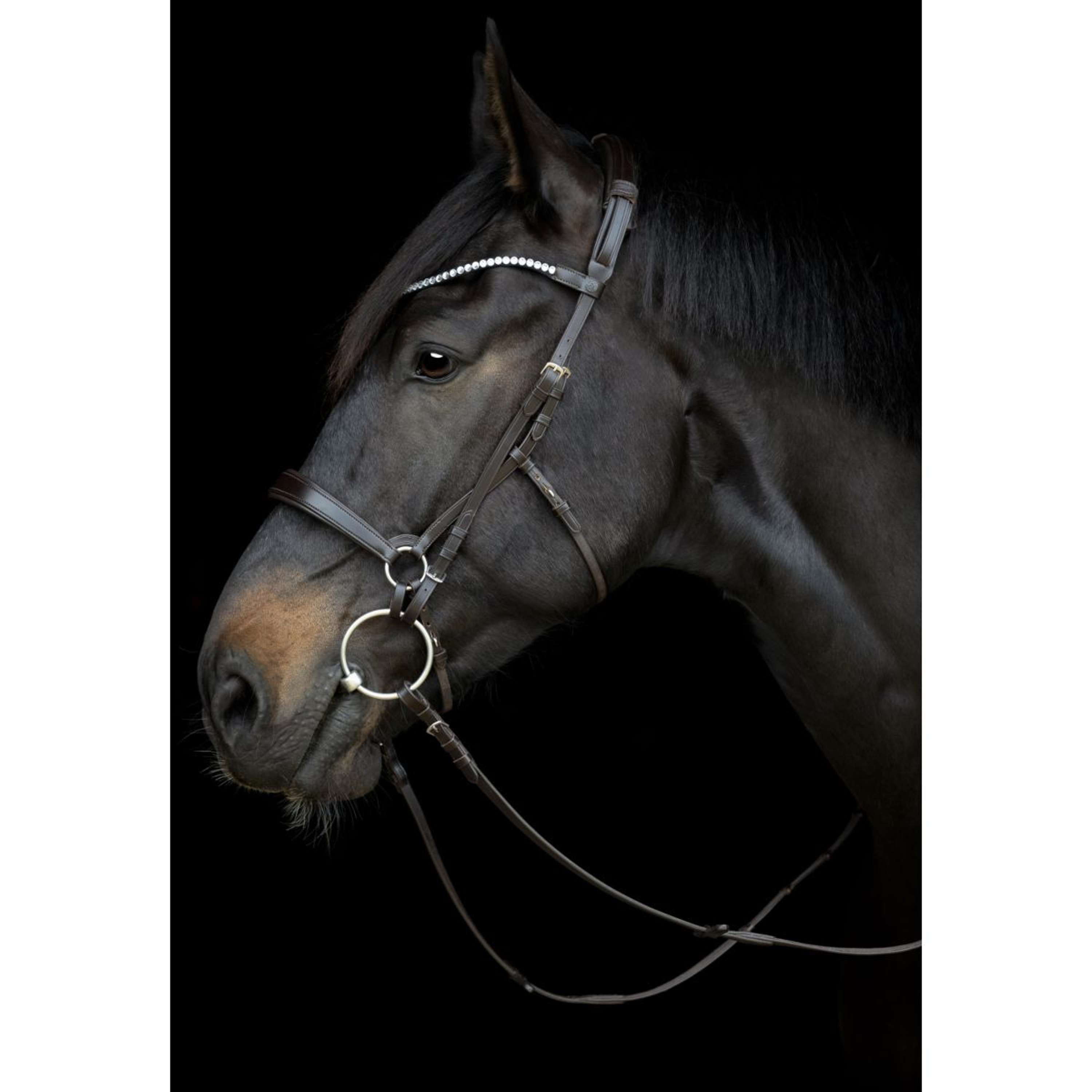 Catago Sous-Gorge Gentle Marron
