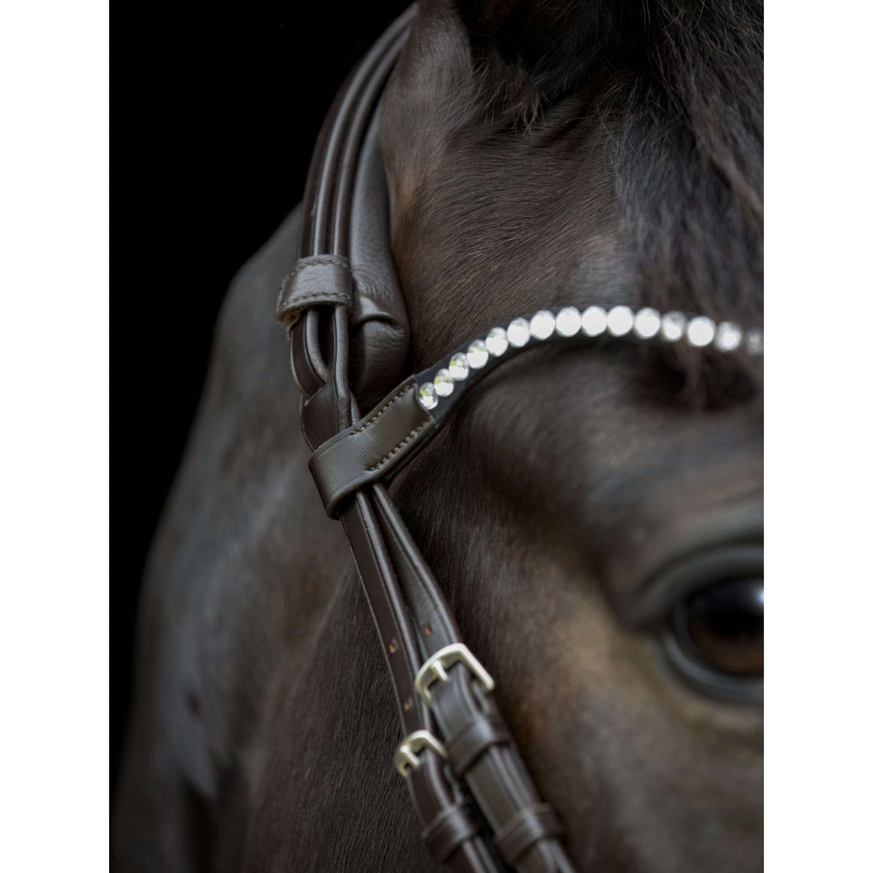 Catago Frontal Gentle Marron