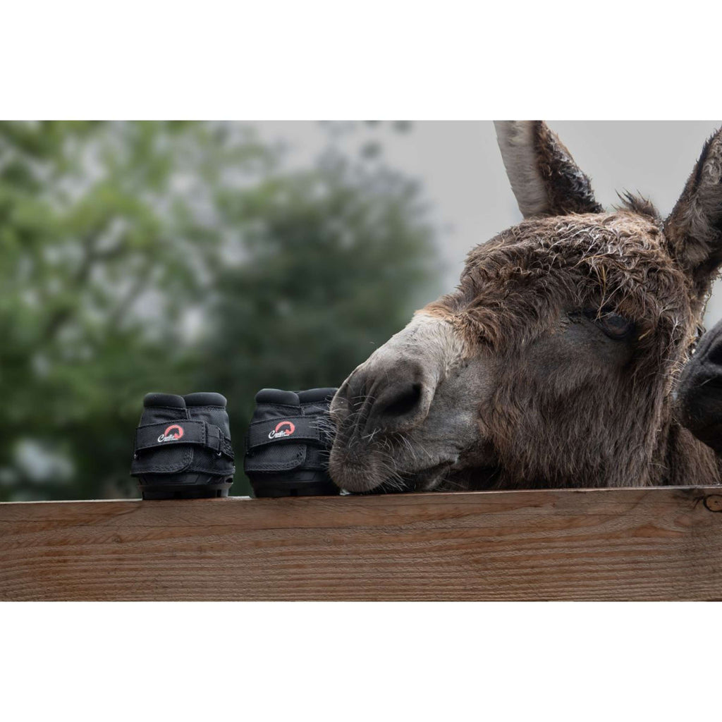 F.R.A. Cavallo Donkey/Long Ear Boot Noir