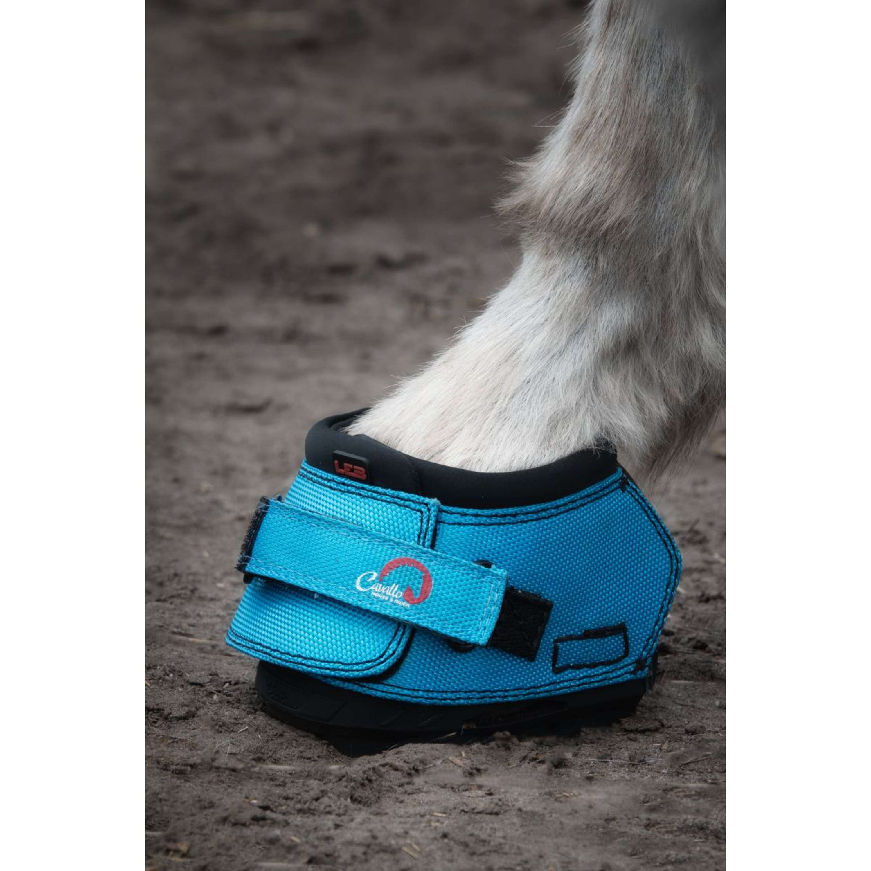 F.R.A. Cavallo Donkey/Long Ear Boot Turquoise