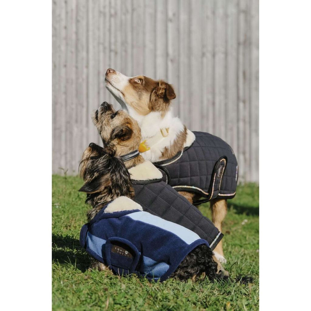EQUITHÈME Couverture pour Chien New Market Marin