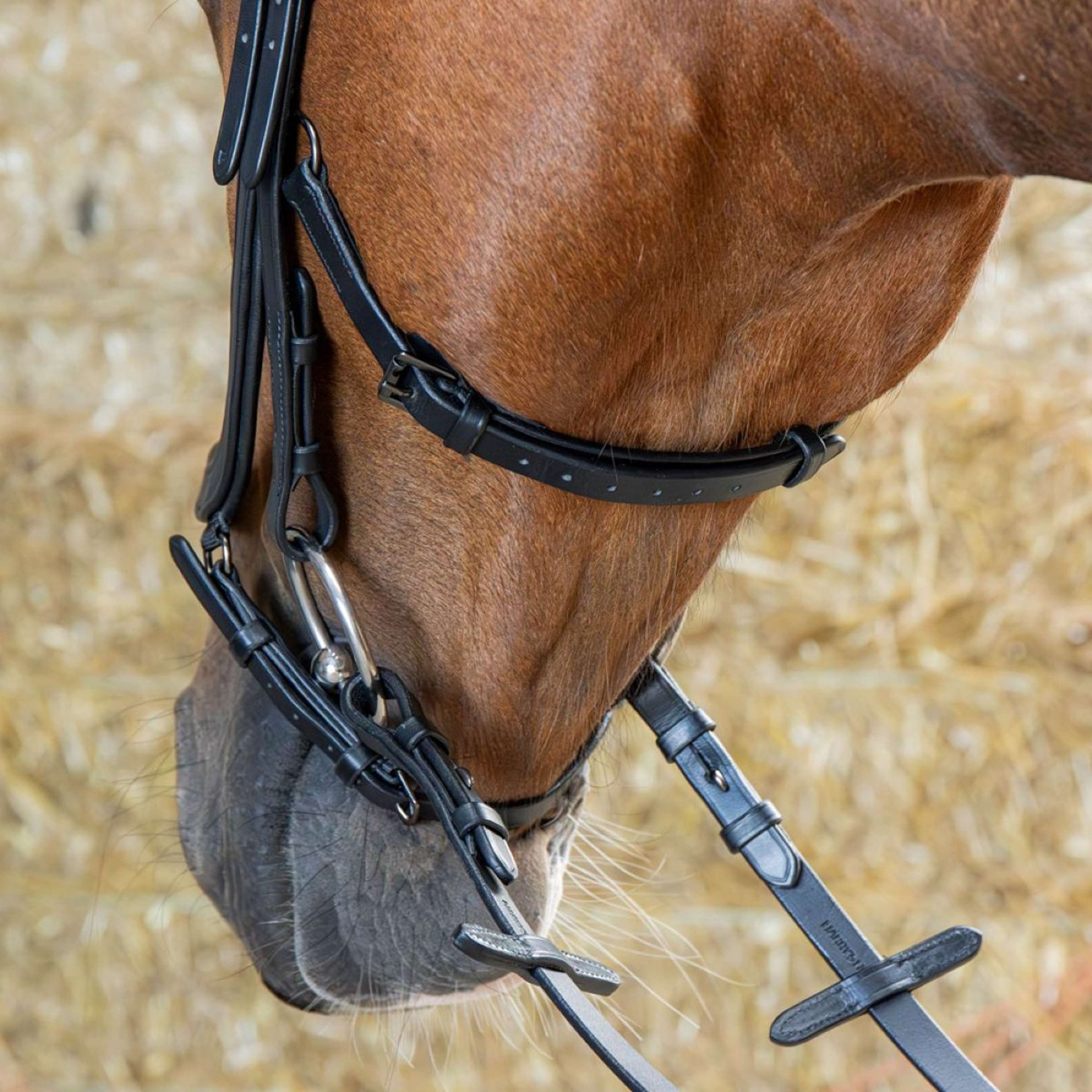 Harry's Horse Bride Anatomic Black Crystal Noir