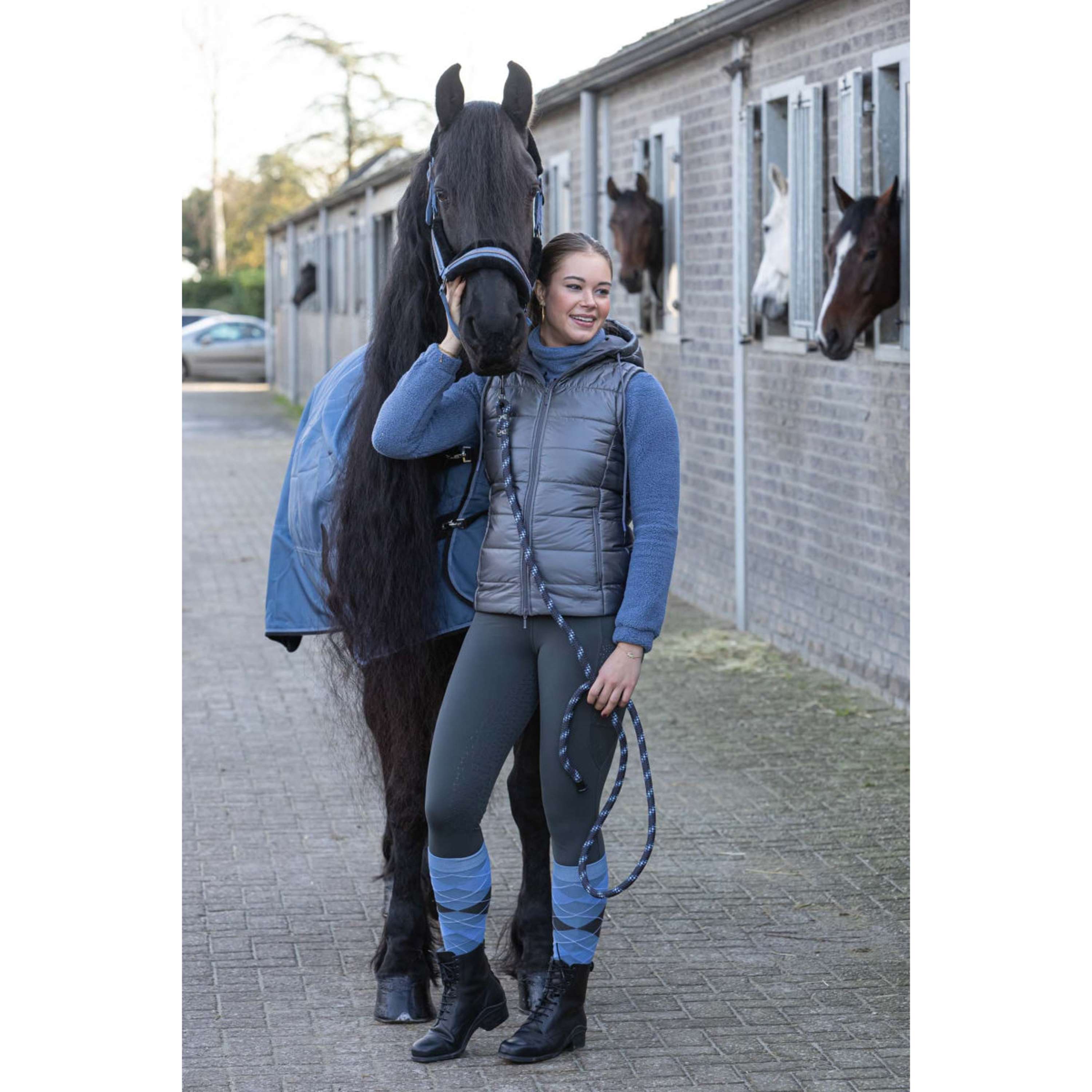 Harry's Horse Ensemble Licol Soft Flint Stone
