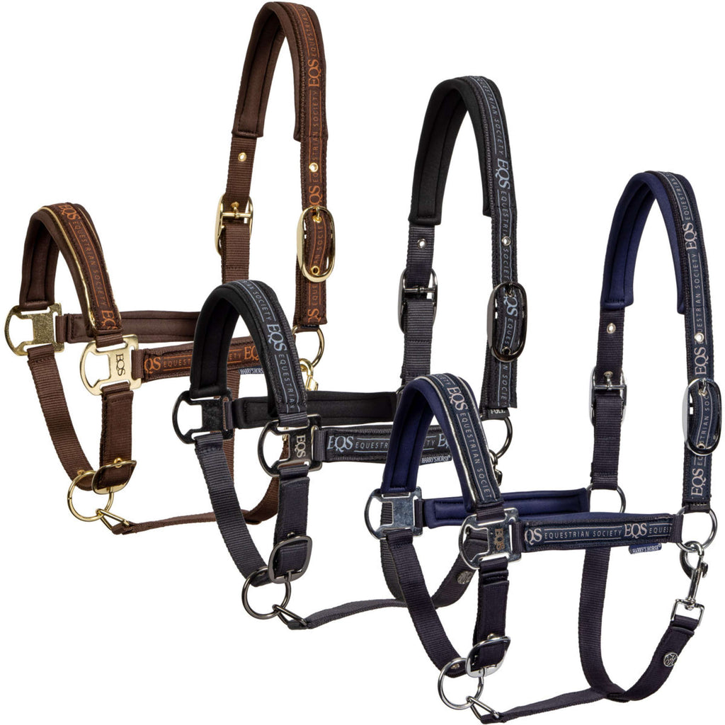 Harry's Horse Ensemble Licol EQS Black-Sand