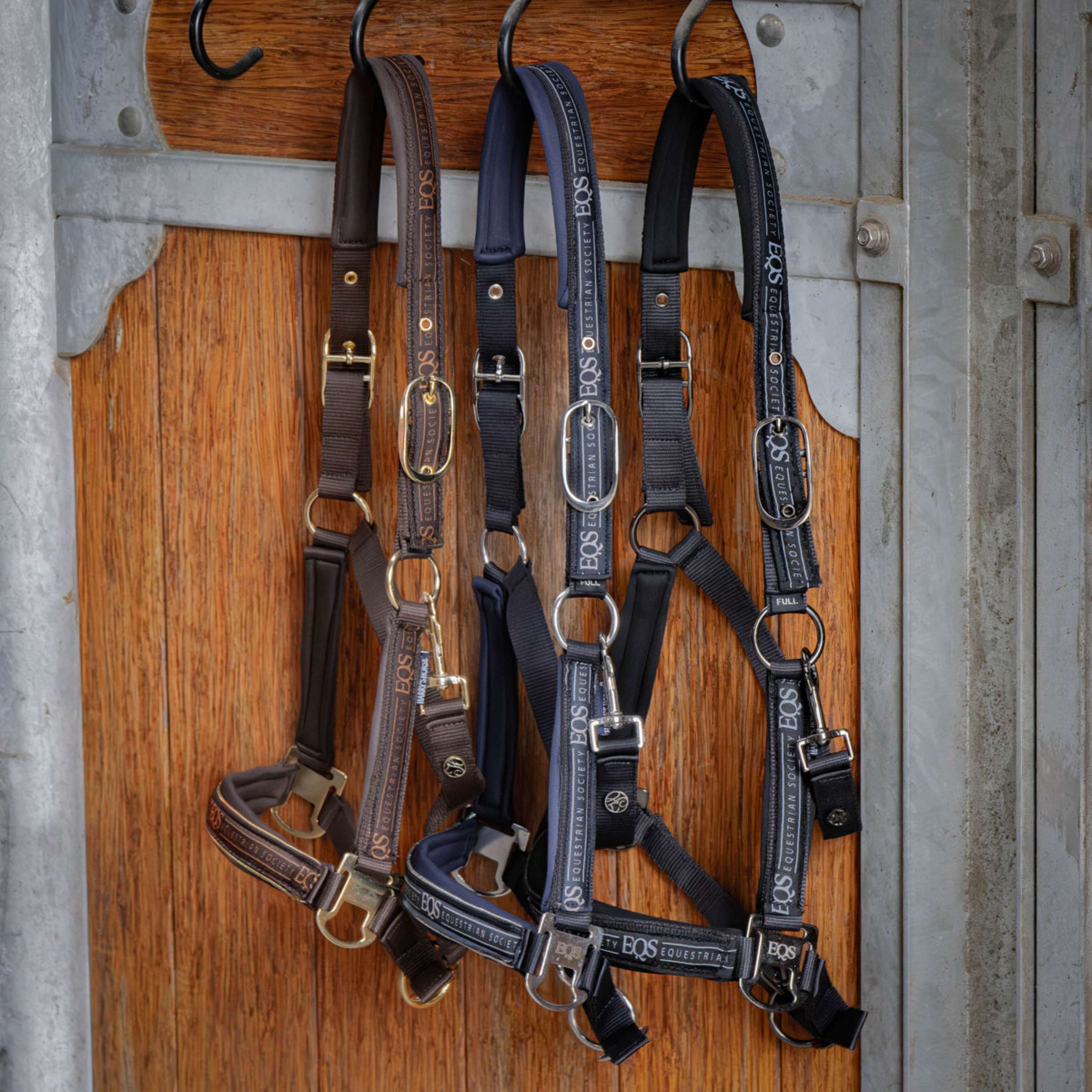 Harry's Horse Ensemble Licol EQS Bracken