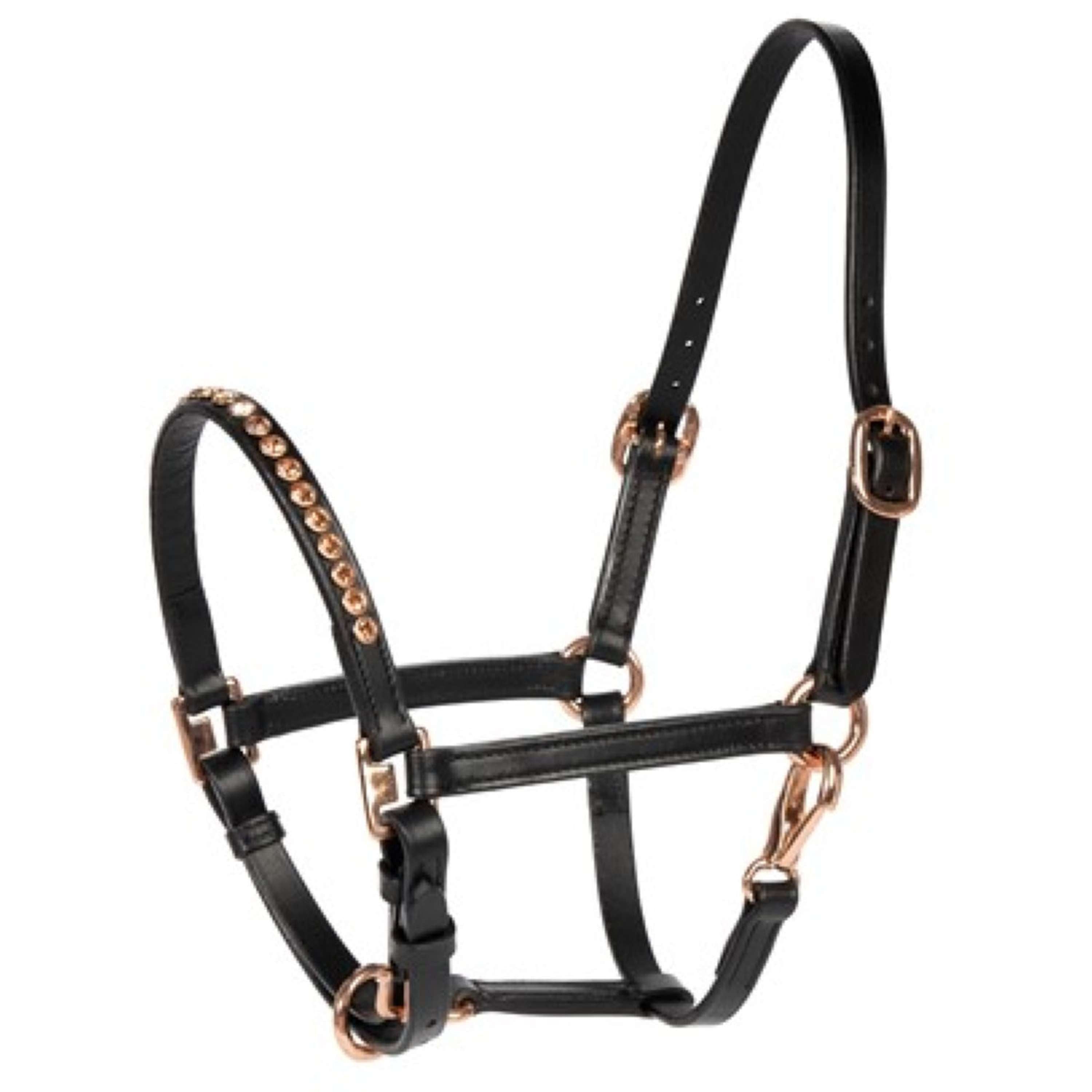 Harry's Horse Licol Crystal Noir/Or Rose