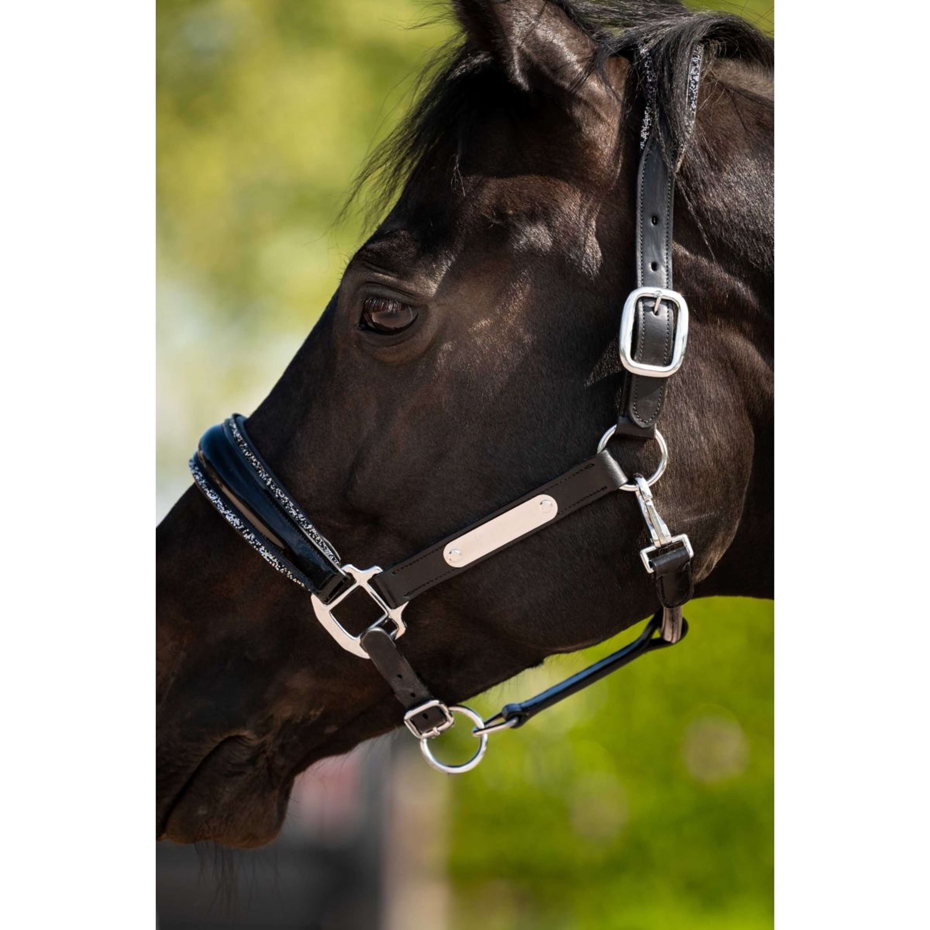 HB Ruitersport Licol Showtime Grand Slam Noir/Argent