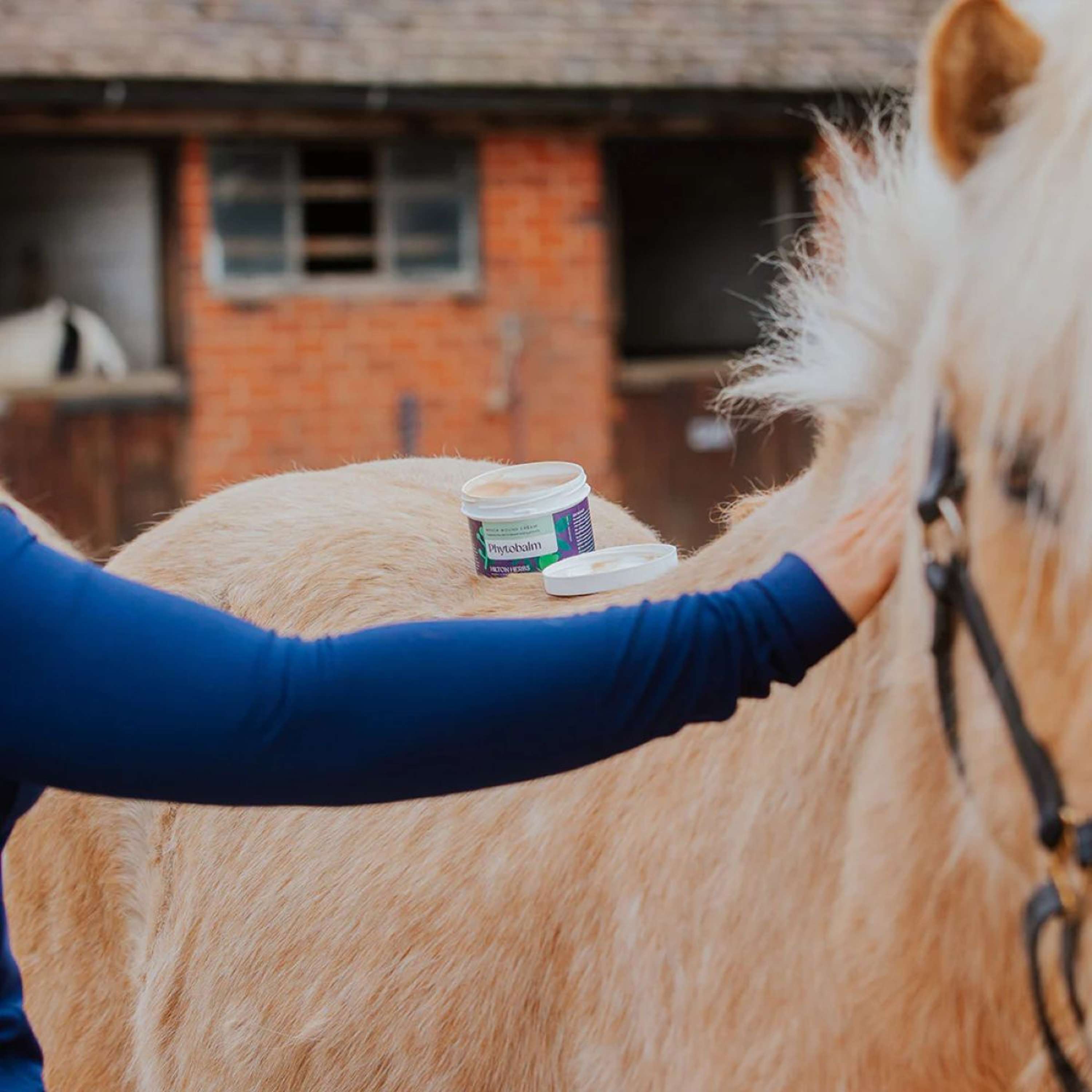 Hilton Herbs Phytobalm