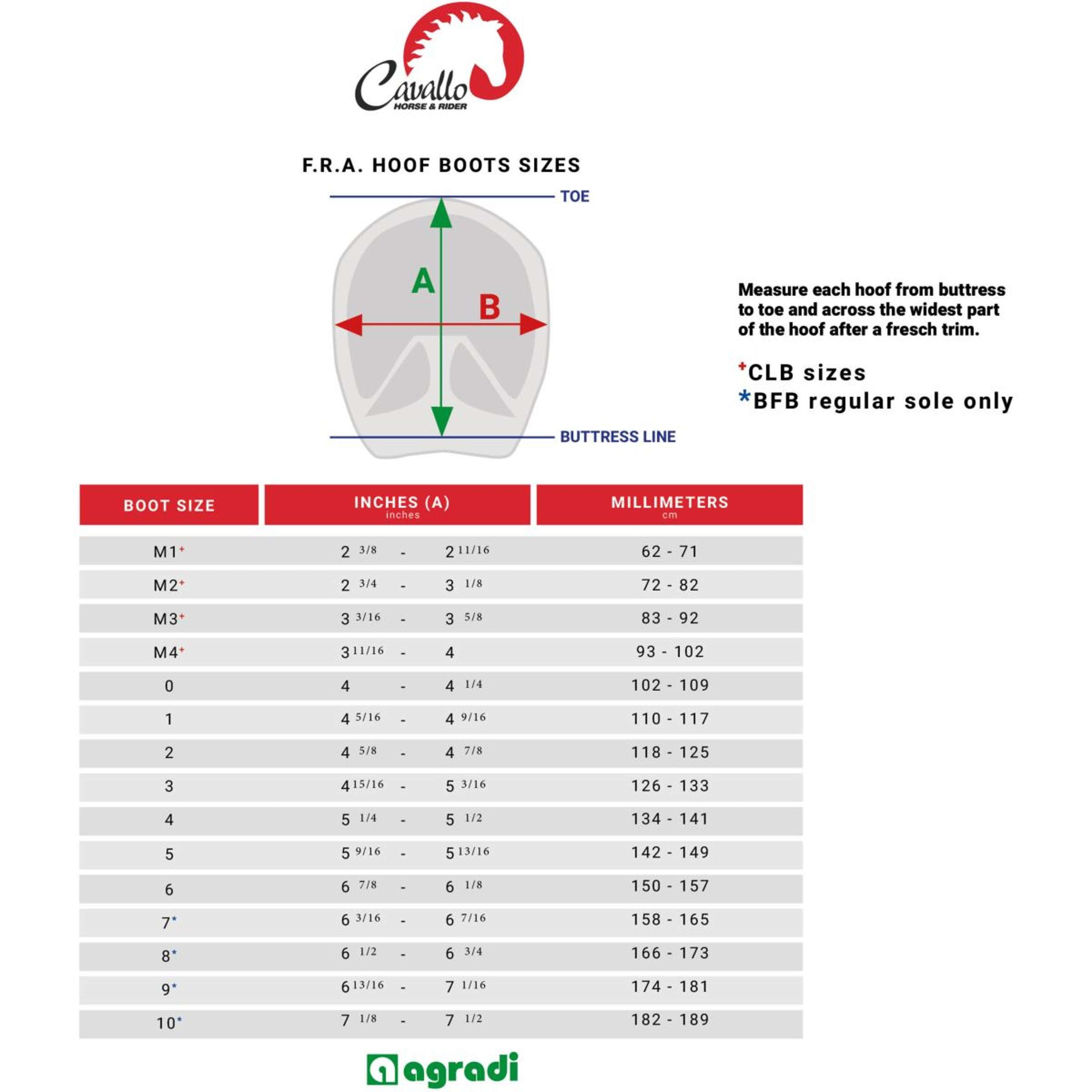 F.R.A. Cavallo Horse & Rider Chaussures pour Cheval CLB Regular Bling