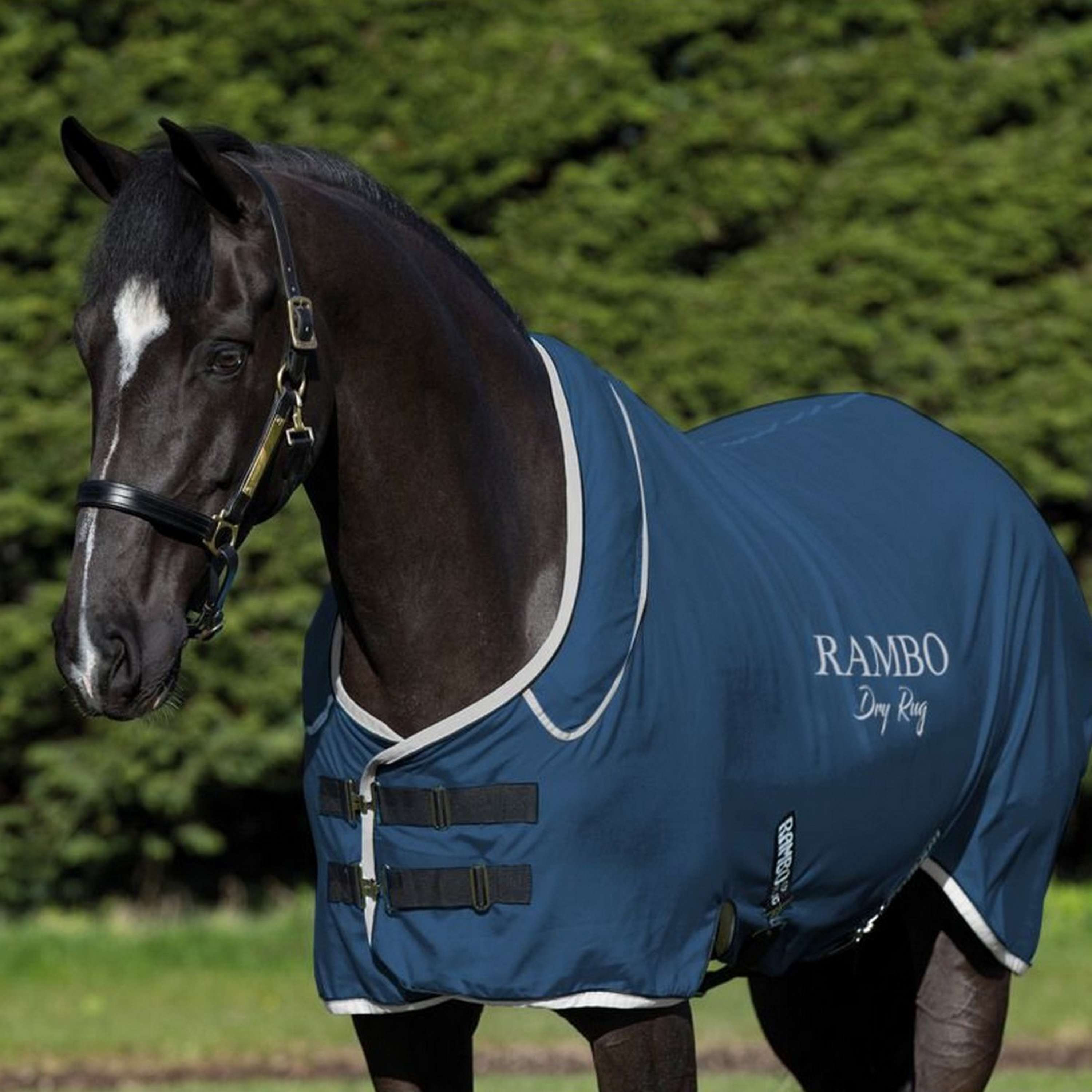 Rambo Dry Rug Supreme Marine/Argent