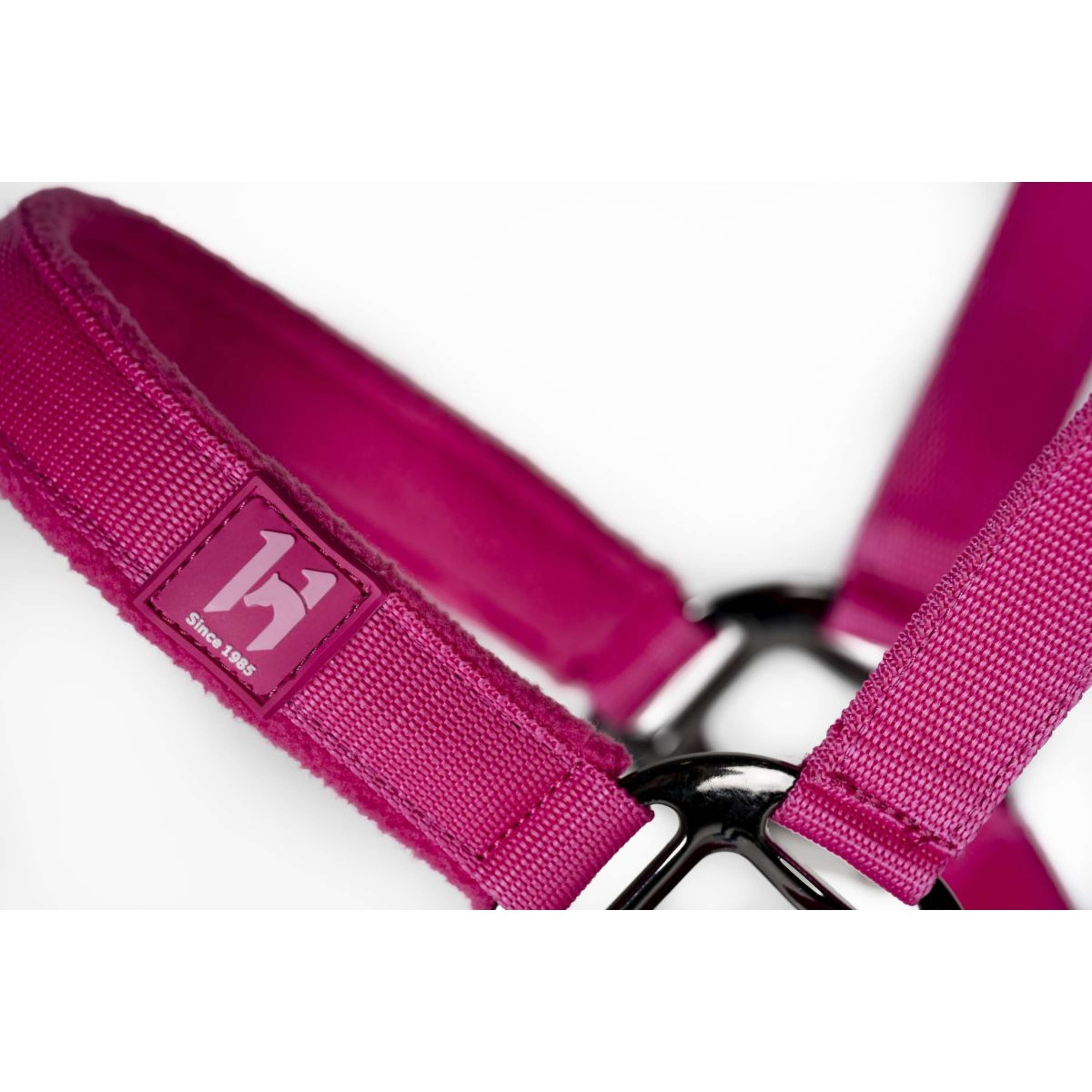 Amigo Licol et Longe Newmarket Witney Pink