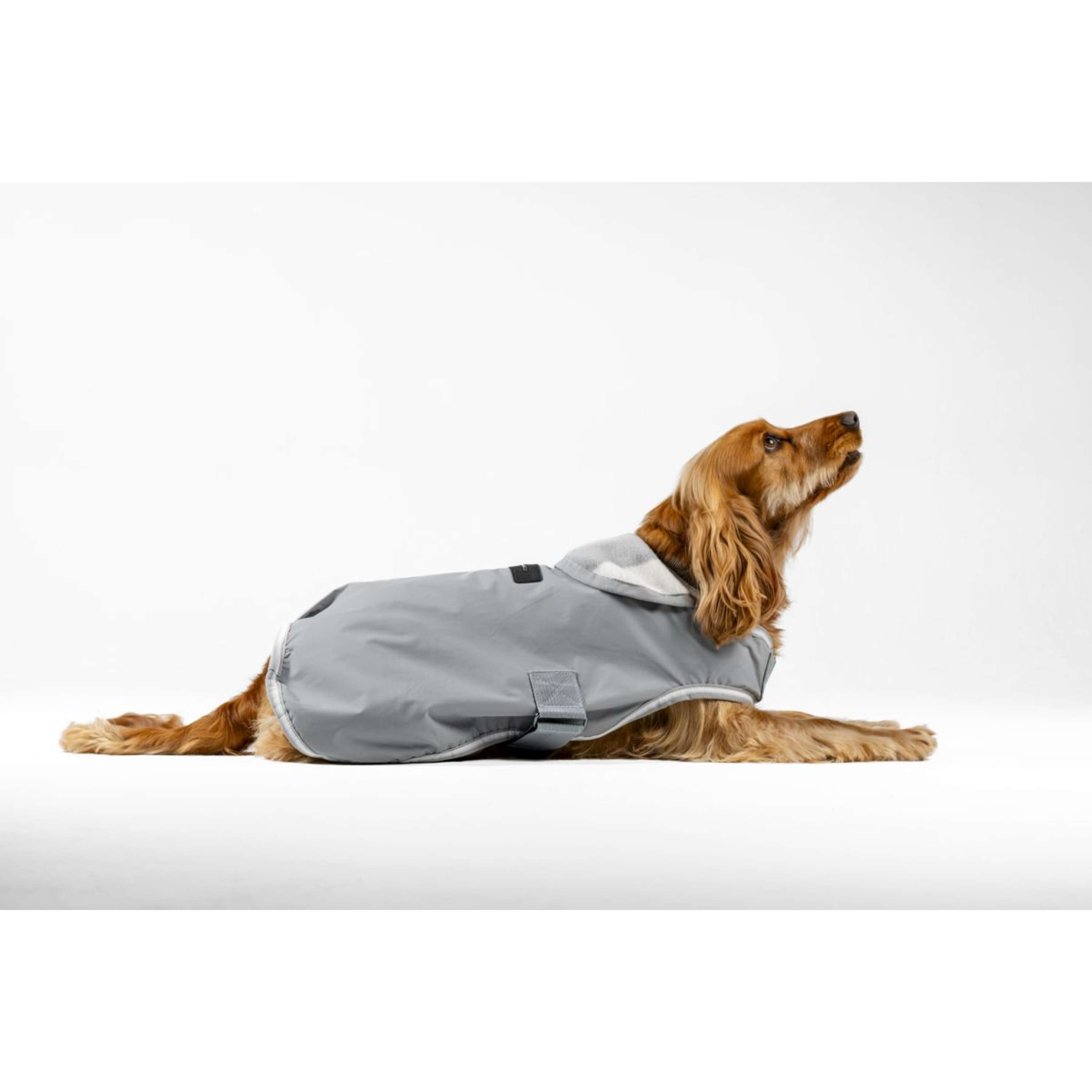 Horseware Couverture pour Chien Newmarket Witney Charcoal