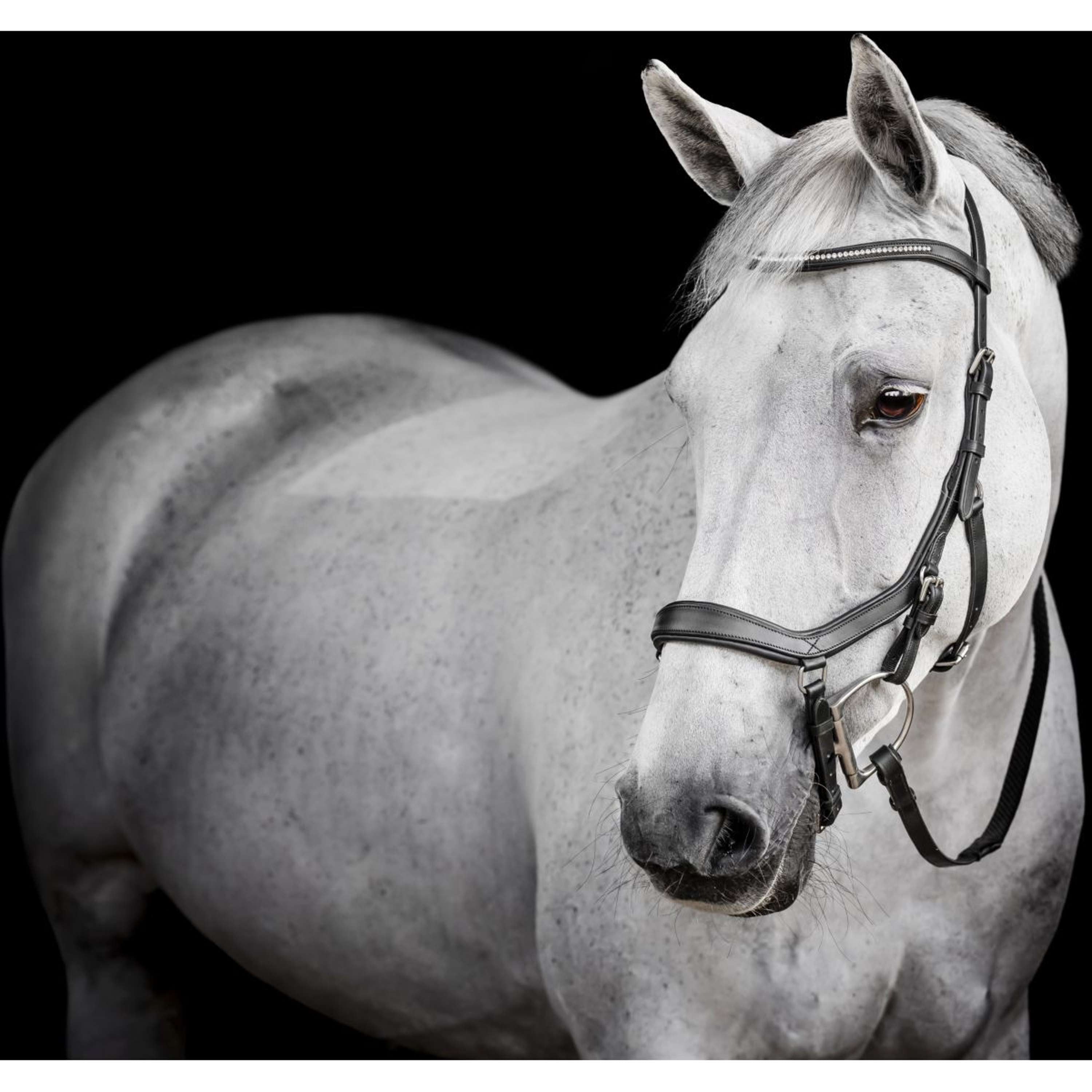 Horseware Micklem Diamante Competition Bridle Noir