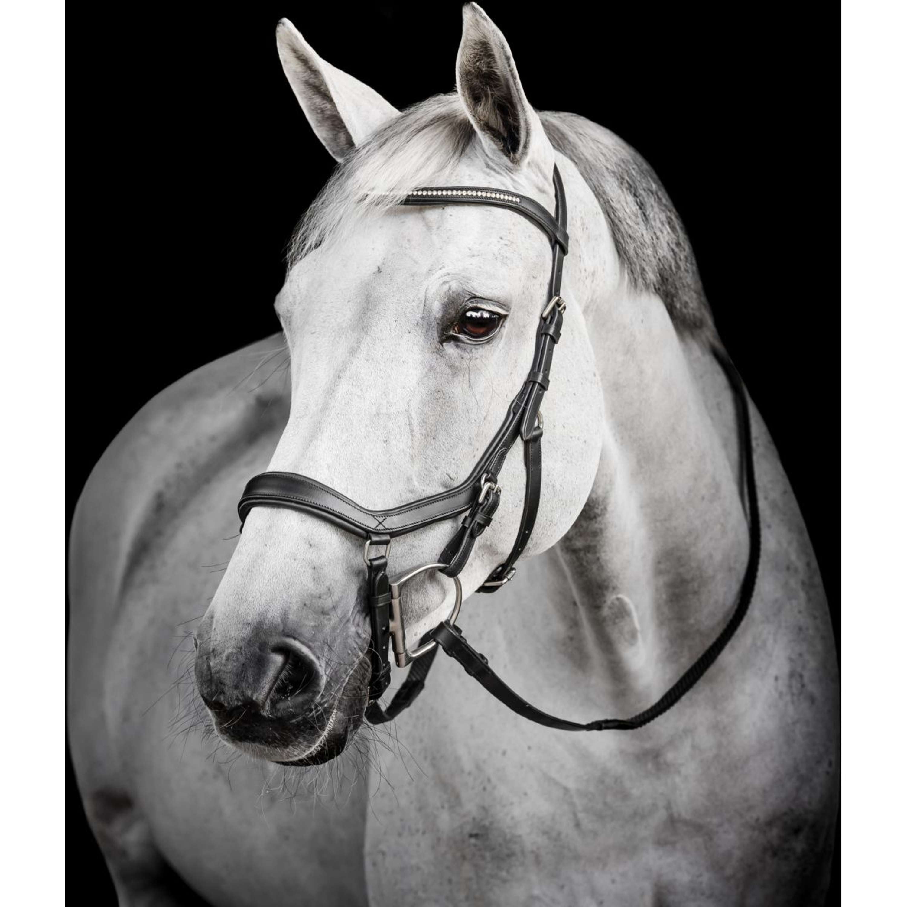 Horseware Micklem Diamante Competition Bridle Noir