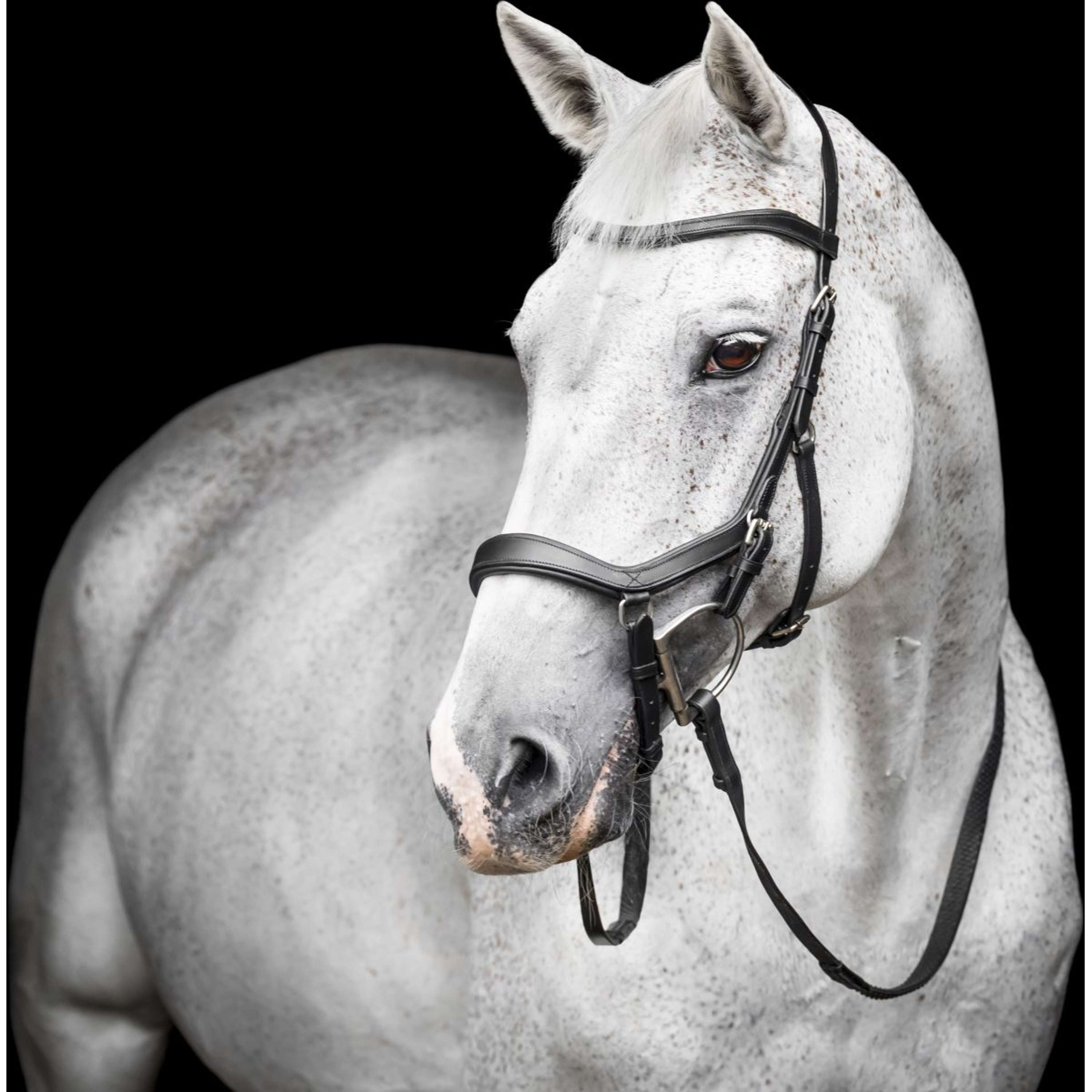 Horseware Micklem Competition Bridle Noir