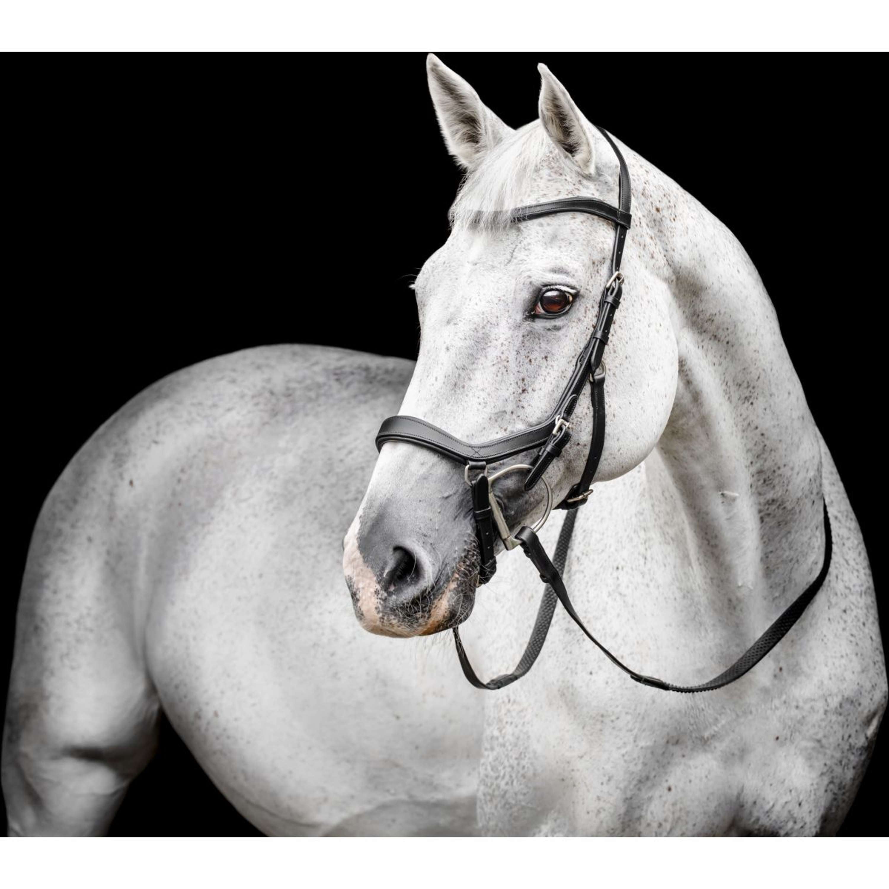 Horseware Micklem Competition Bridle Noir