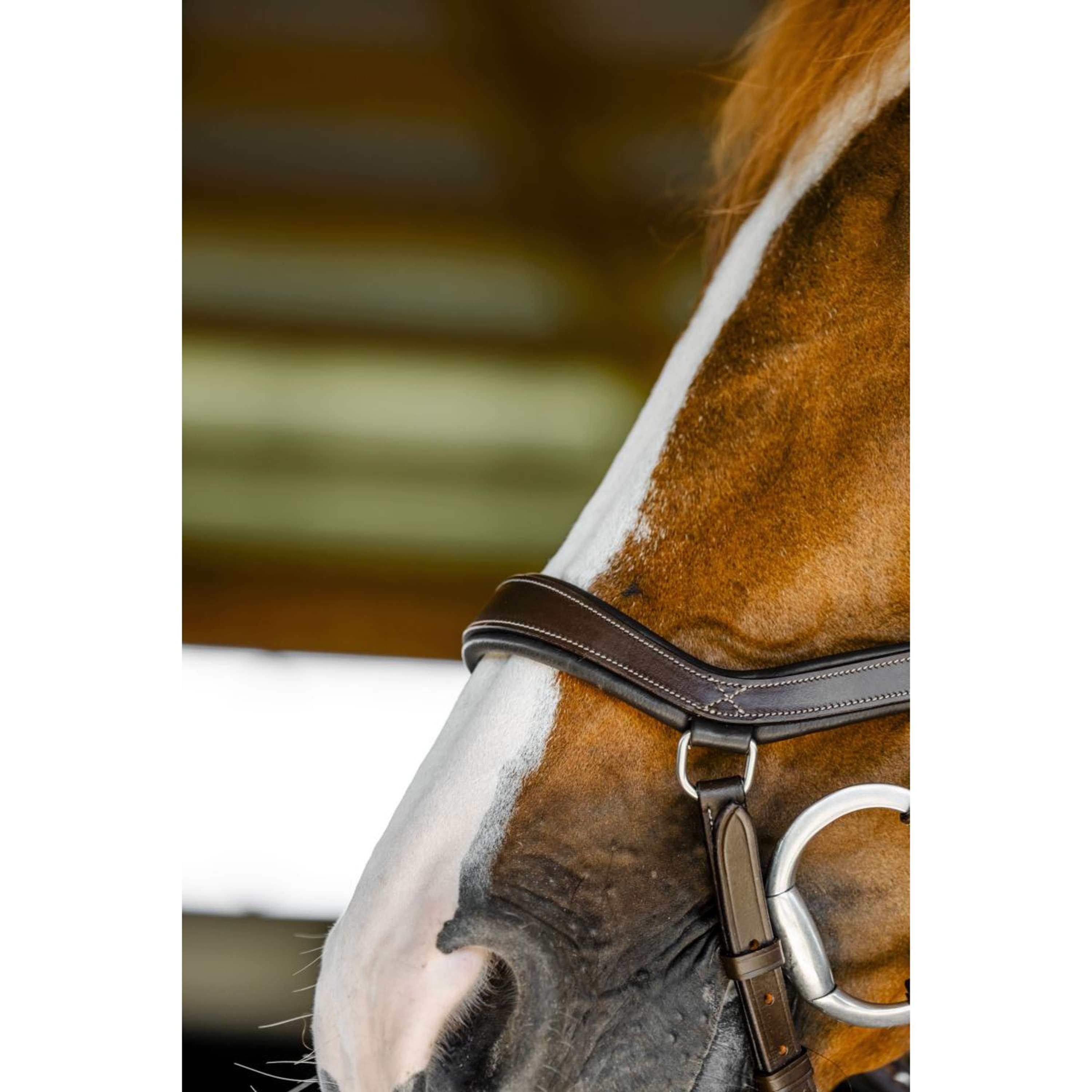 Horseware Micklem Competition Bridle Dark Havana