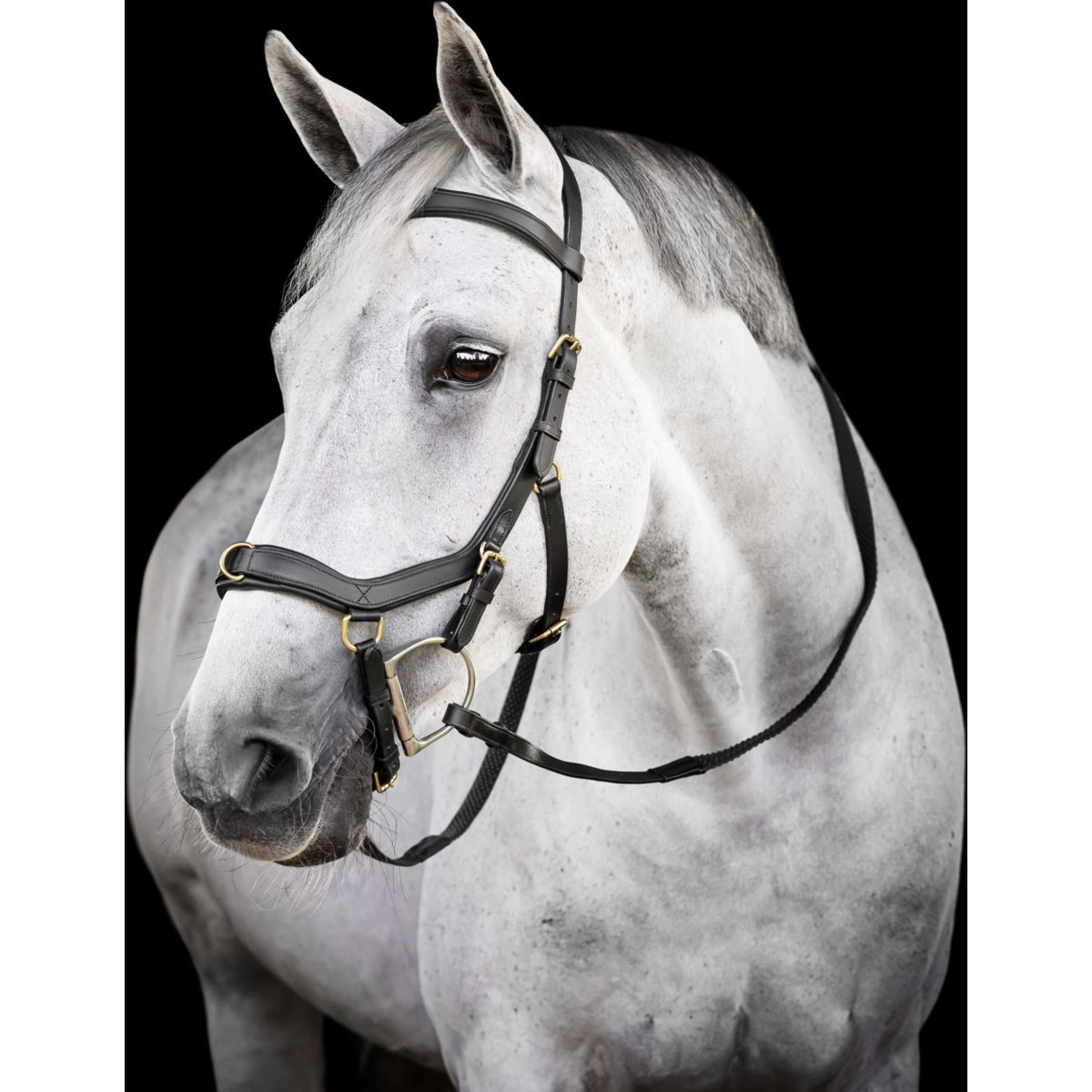 Horseware Micklem Multi Bridle Noir