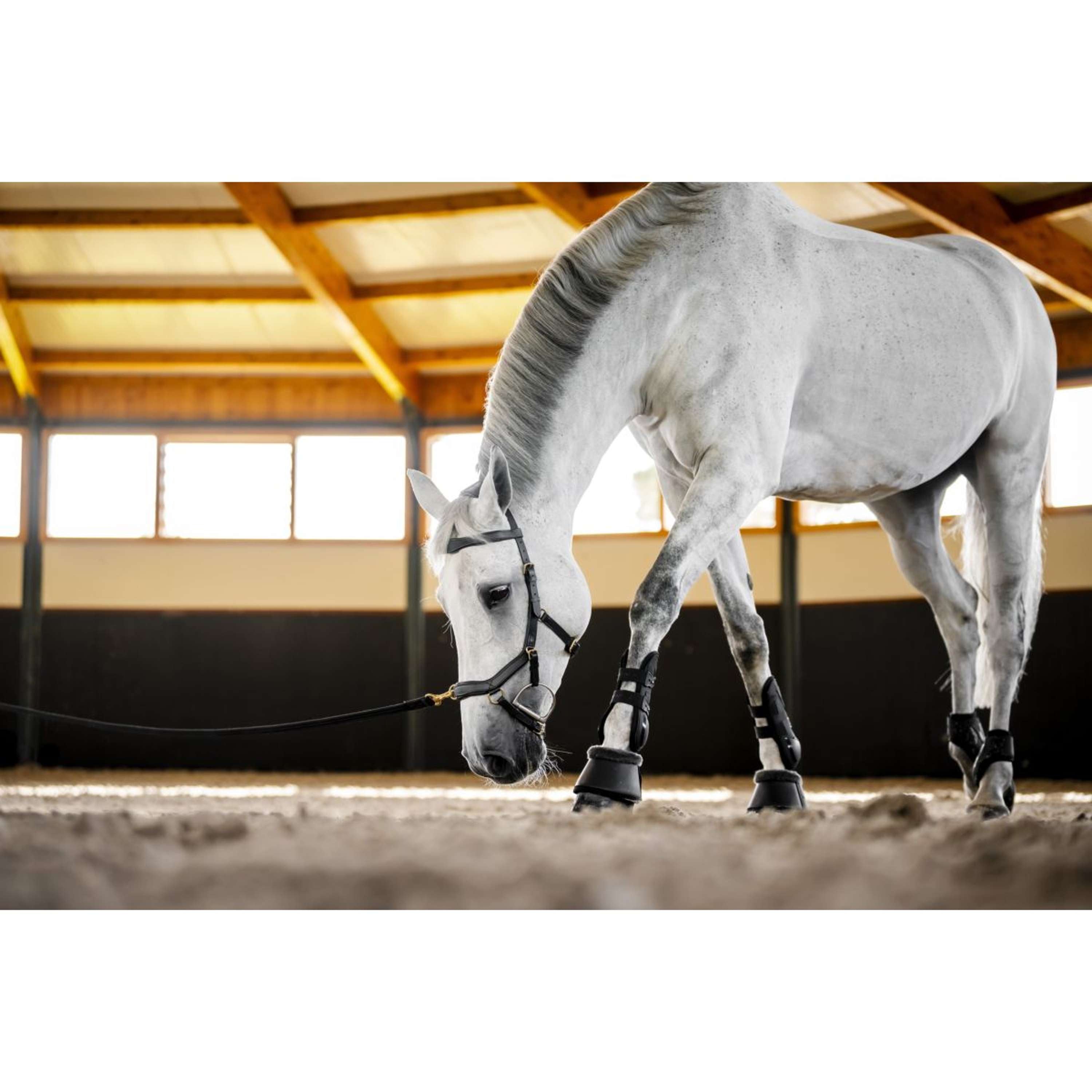 Horseware Micklem Multi Bridle Noir