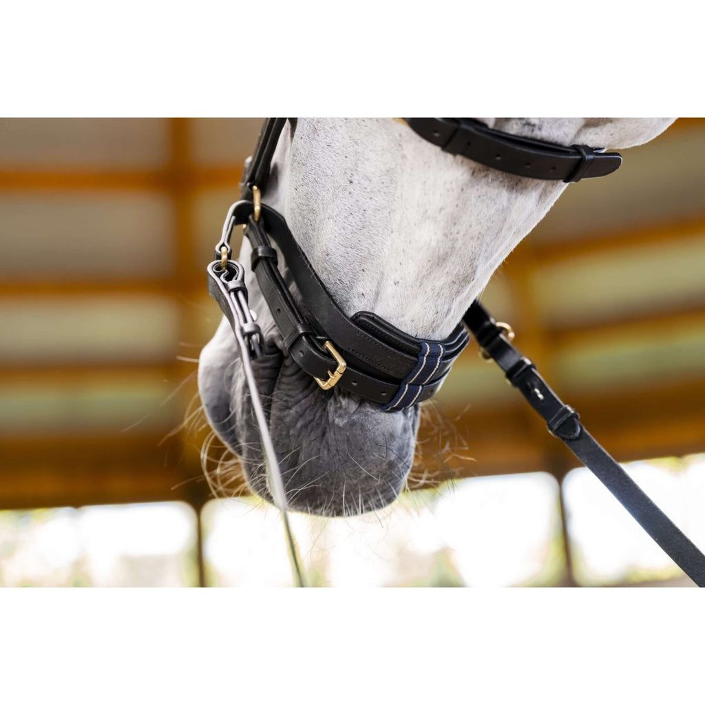 Horseware Micklem Multi Bridle Noir